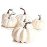 White mini pumpkins from Amazon. Click here to buy.