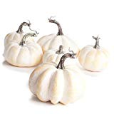 White mini pumpkins from Amazon. Click here to buy.