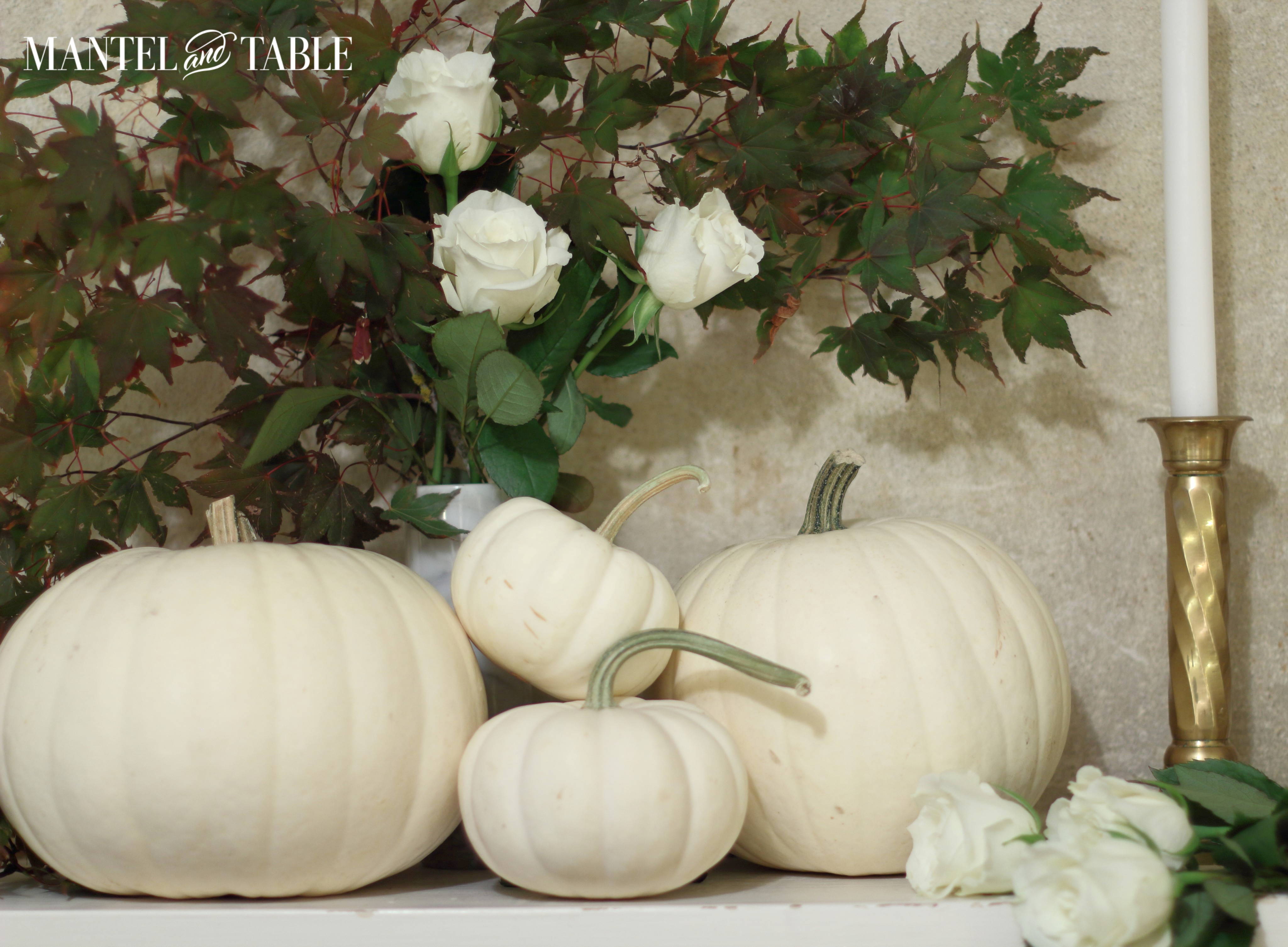 White roses with fall leaves in a copper pitcher. Brass candle stick on the right.