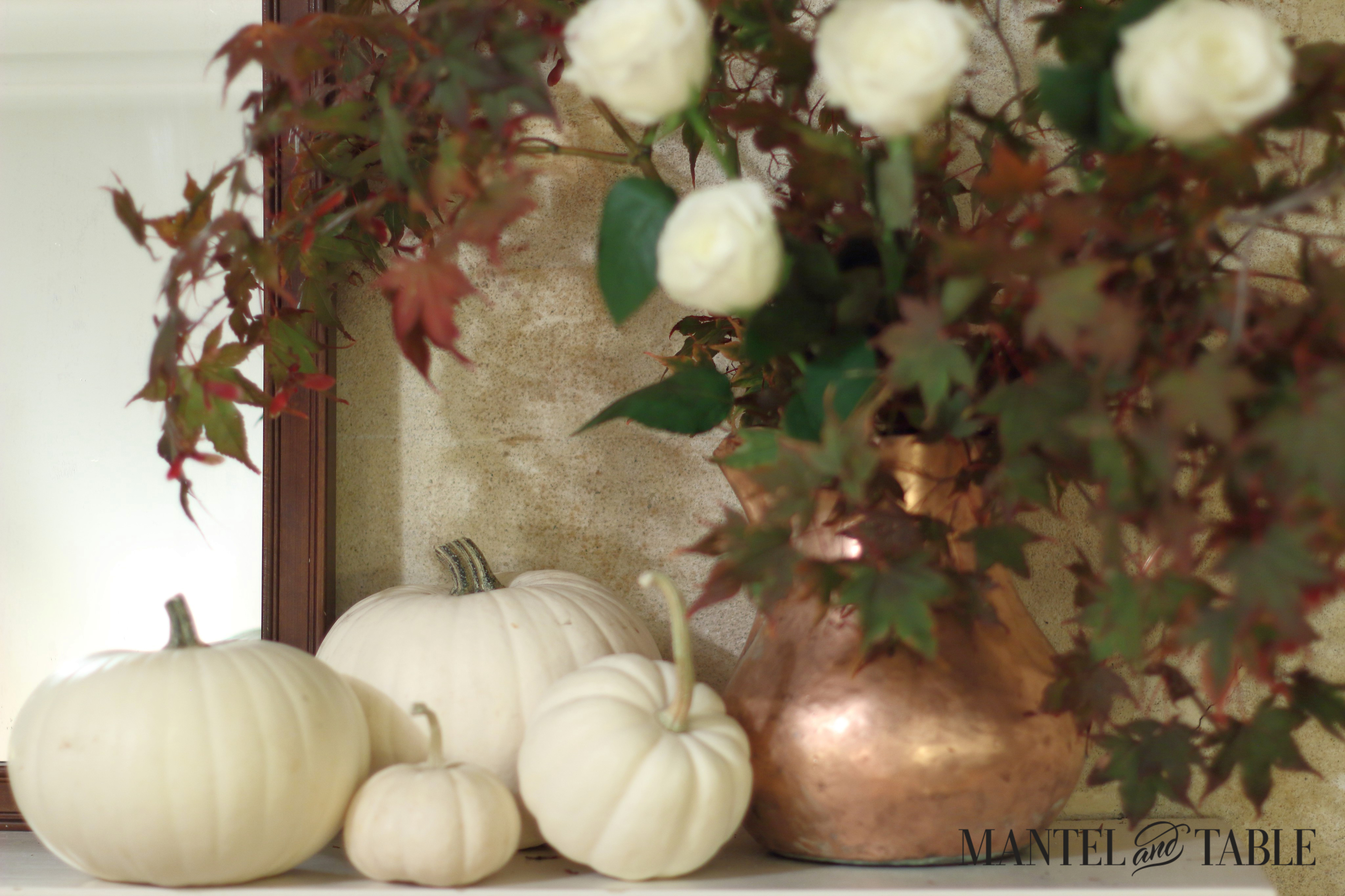 Copper pitcher with white roses and fall leaves overhanging a.pile of white pumpkins to the left.