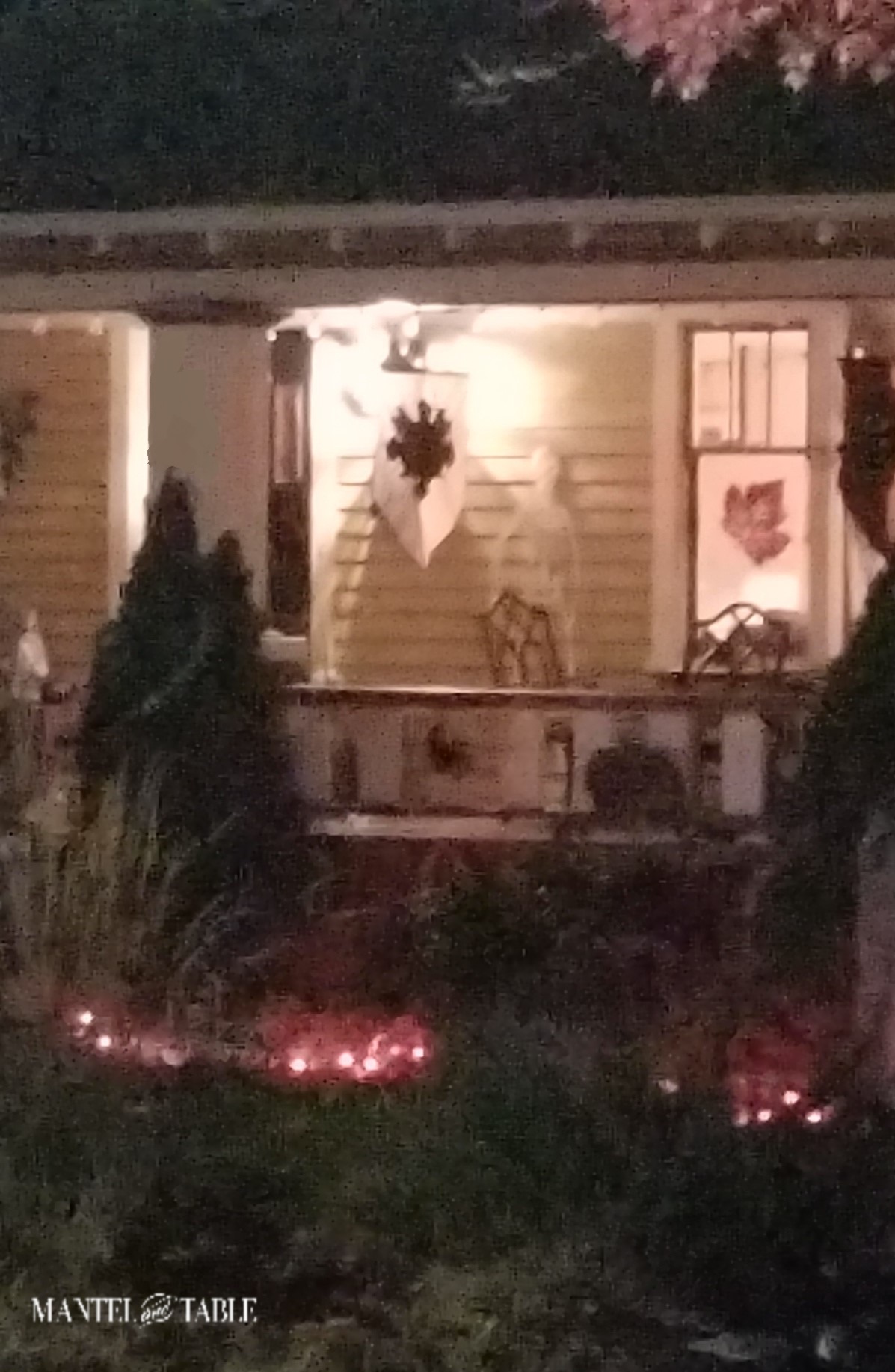 Spooky yard the way I see it - soft focus