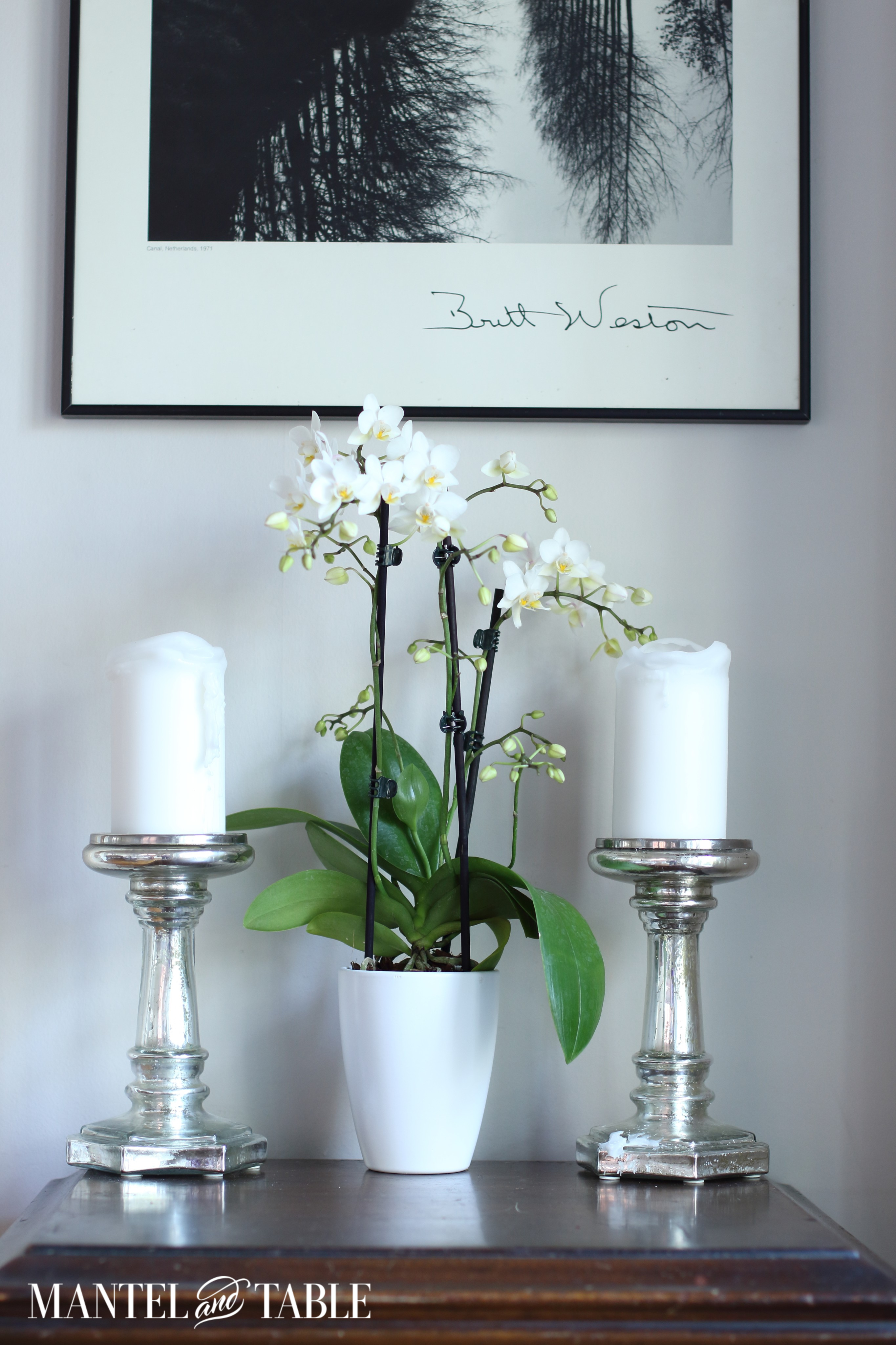 White orchid in white pot with silver candlesticks.