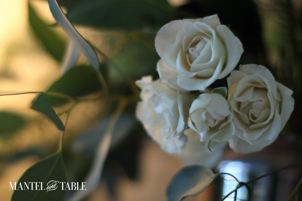 Closeup white roses in candlelight