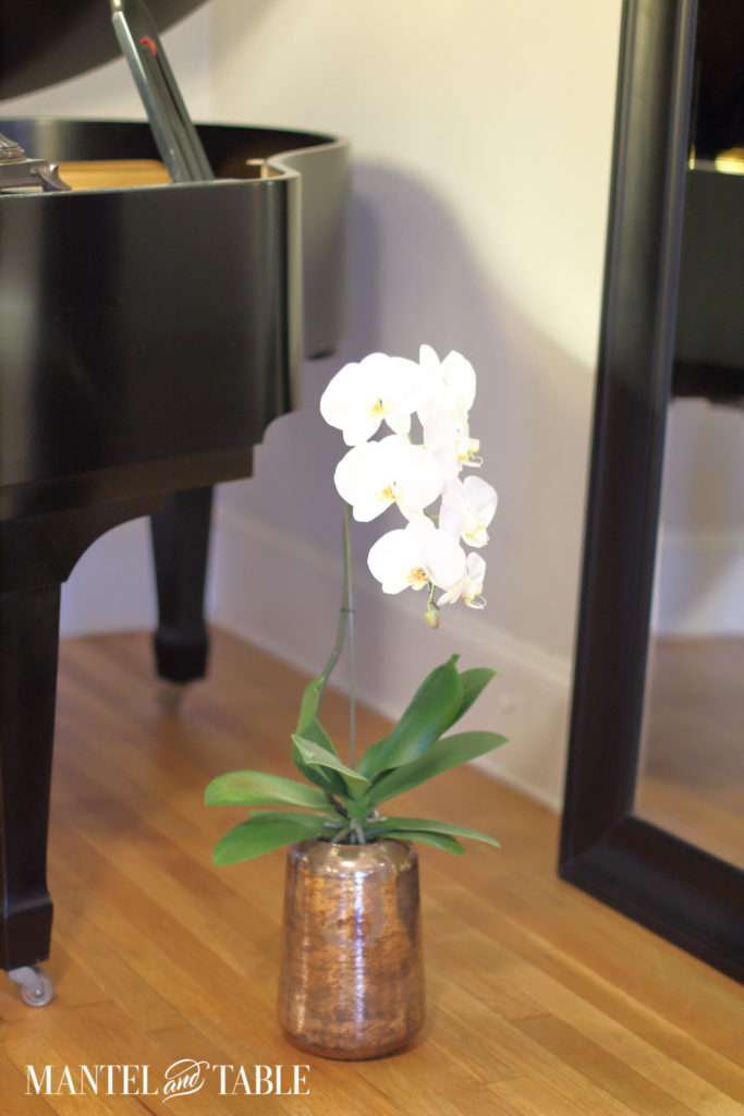 Are you looking to up the elegance quotient in your home? Vignettes and Baseboards are easy (and potentially free!) ways to make your rooms more elegant!