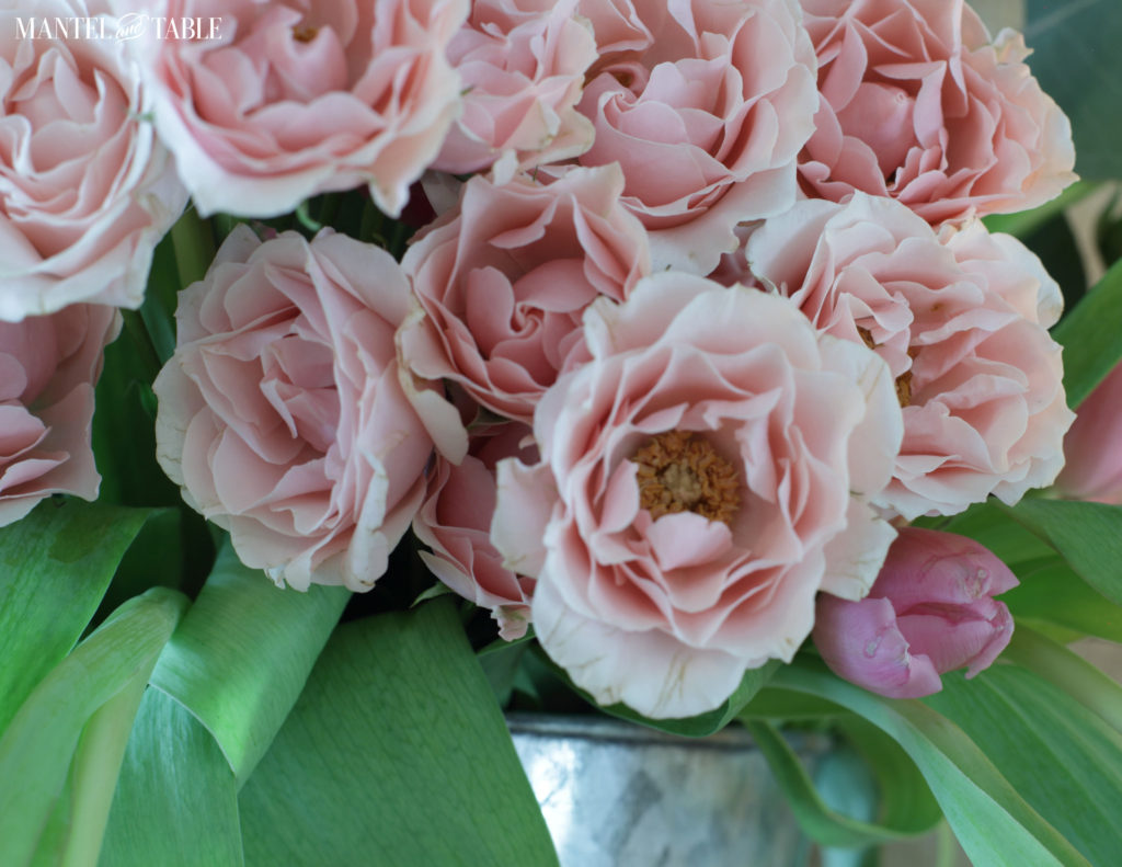Gorgeous pink garden roses