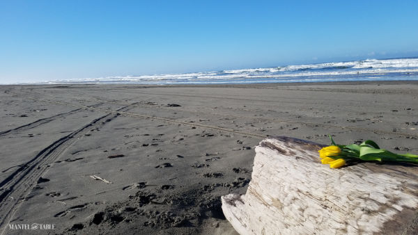 Long empty beach, blue sky, and yellow tulips on driftwood
