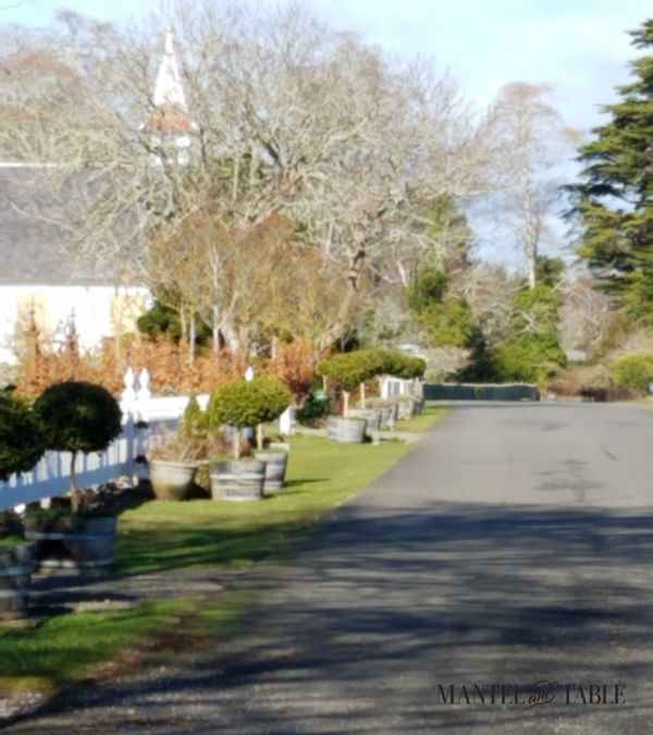 Oysterville main street with potted trees and the church tower in the distance