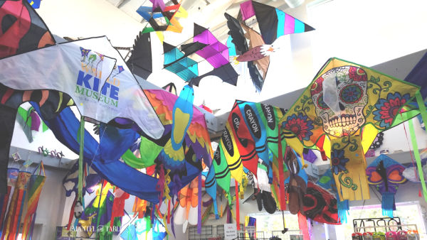 All different colors of kites hanging from a white ceiling under skylights
