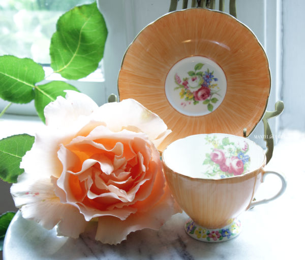 Orange floral teacup & saucer with lovely peach rose