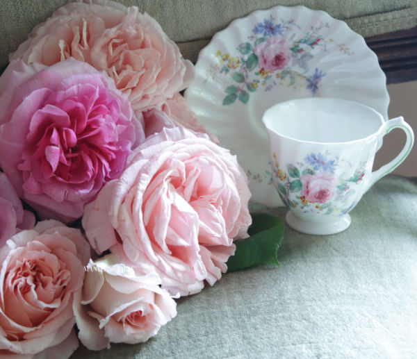 White teacup & saucer with pink flower design on green velvet chair along with pink & blush garden roses.