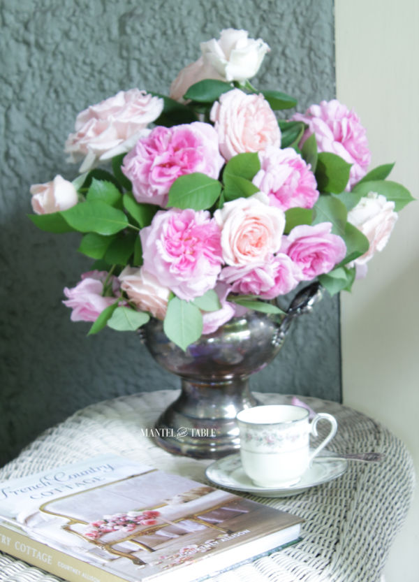 Pink & blush garden roses in silver wine bucket on white wicker porch table with book & teacup