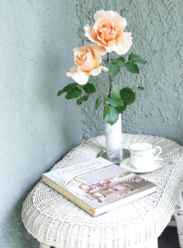 Two beautiful long stemmed peach roses in marble vase on wicker porch table.