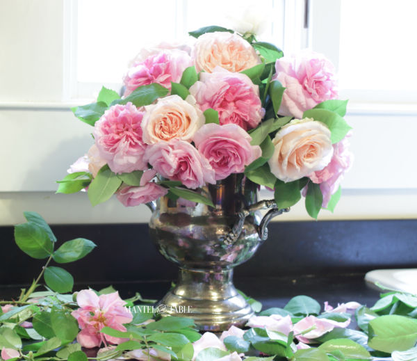 Pink & blush fresh flowers - garden roses in a silver wine bucket on black counter in front of a bright window. Rose leaves and petals on the counter.