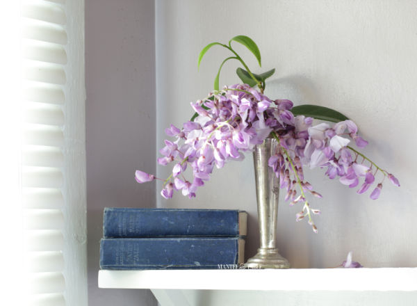 Light purple wisteria clusters in vintage silver bud vase next to stacked blue books