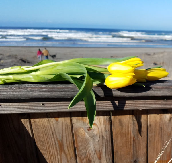 Long Beach Peninsula – A Wonderful Weekend Trip