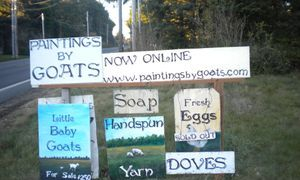Roadside signs advertising Paintings by Goats