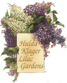 Hulda Klager Lilac Garden Logo - lavender lilacs