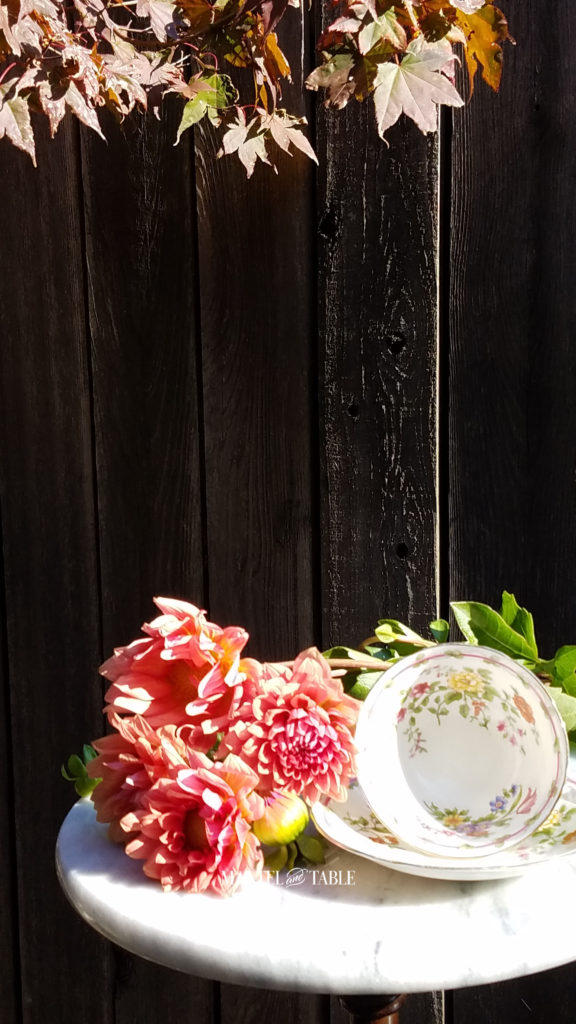 Teacup and saucer. White with fall colored flowers on gold stand. Sitting on white marble base with peach dahlias against a rough wood fence background.
