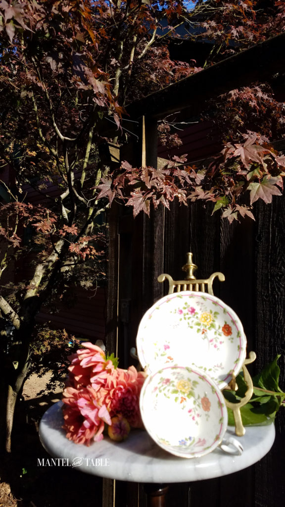 Teacup and saucer. White with fall colored flowers on gold stand. Sitting on white marble base with peach dahlias against a rough wood fence background.