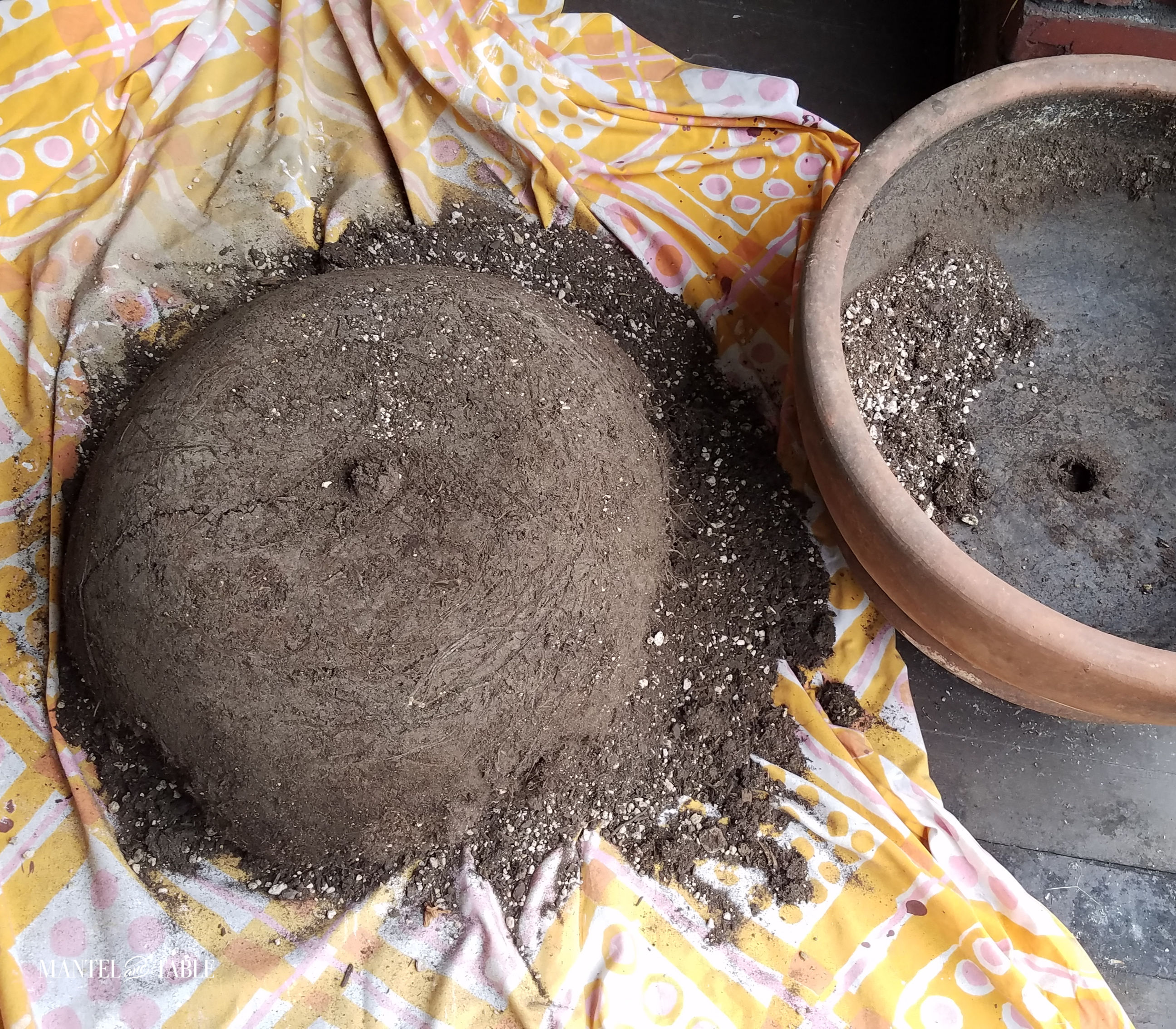 Soil dumped from the planter - still in the shape of the pot