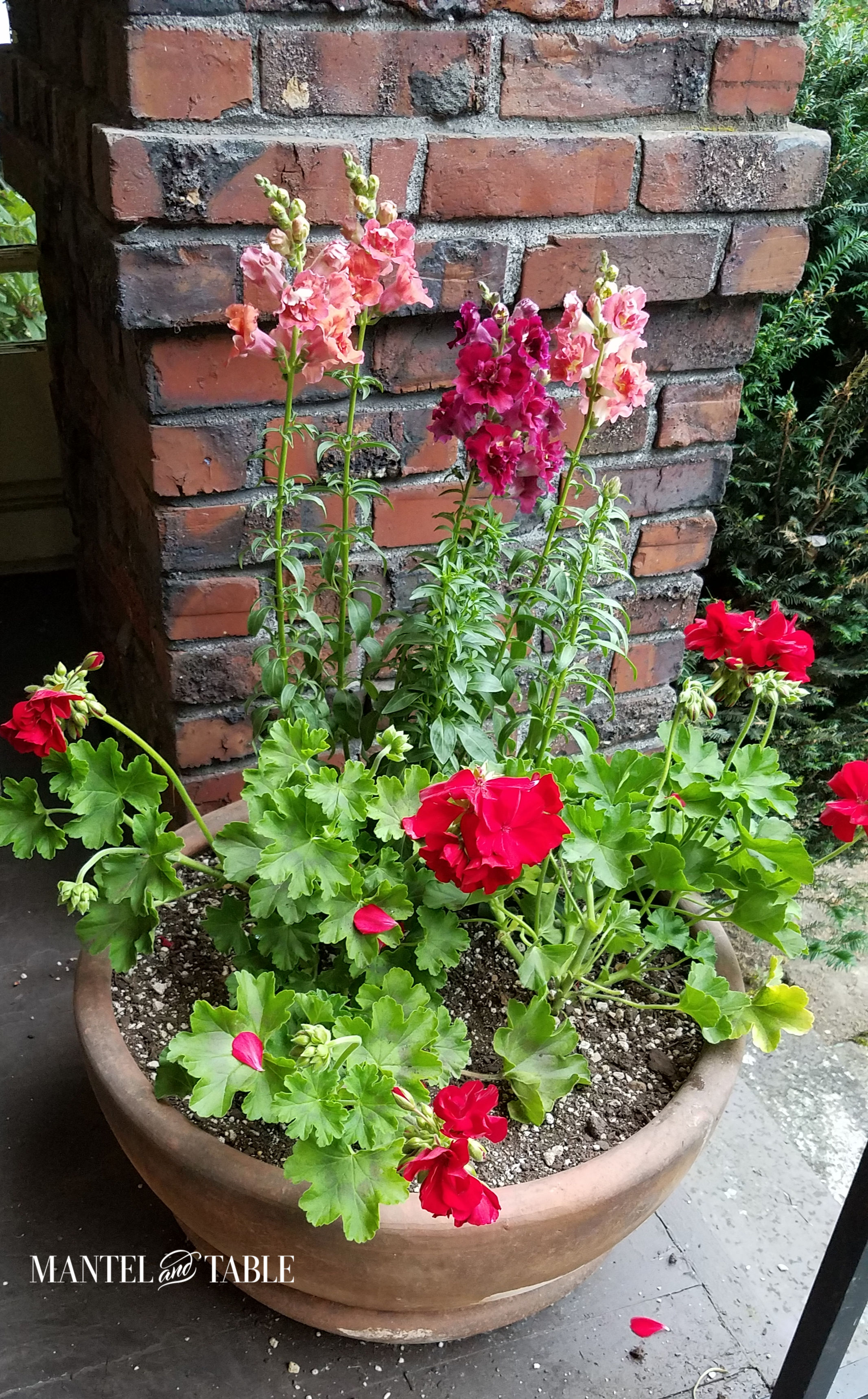 Porch planter with red and salmon flowers in front ofred brick pillar