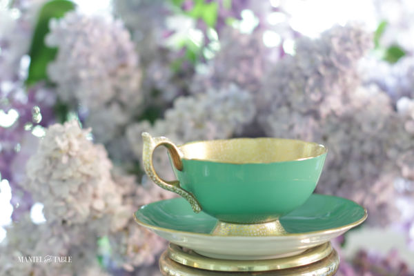 Aynsely green & gold teacup