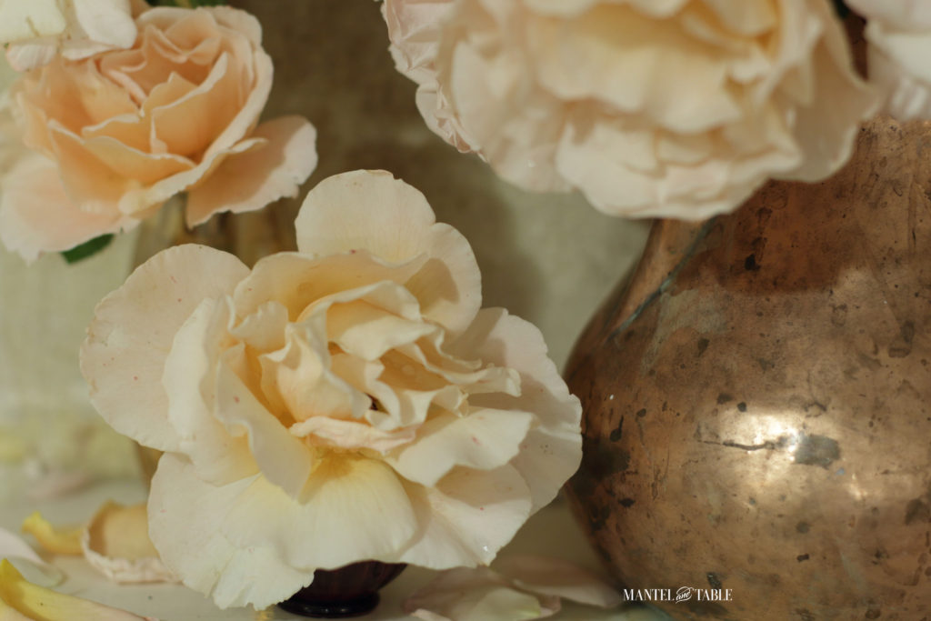 Super Closeup of peach roses and copper pitcher vase