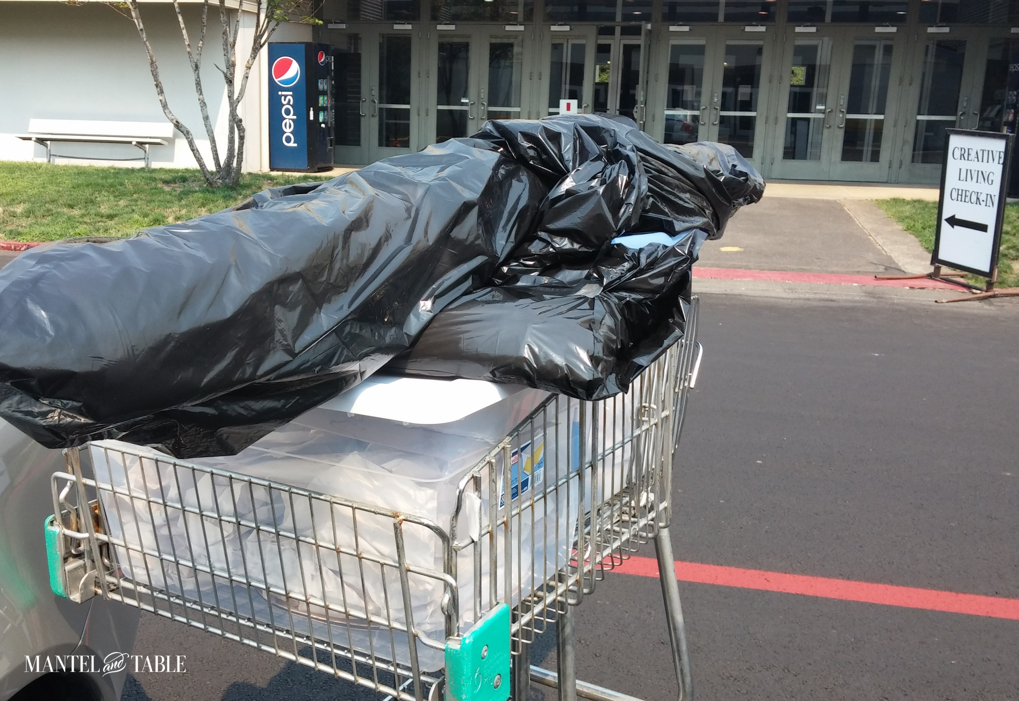 Grocery cart with bins & bags ready for tablescape setup