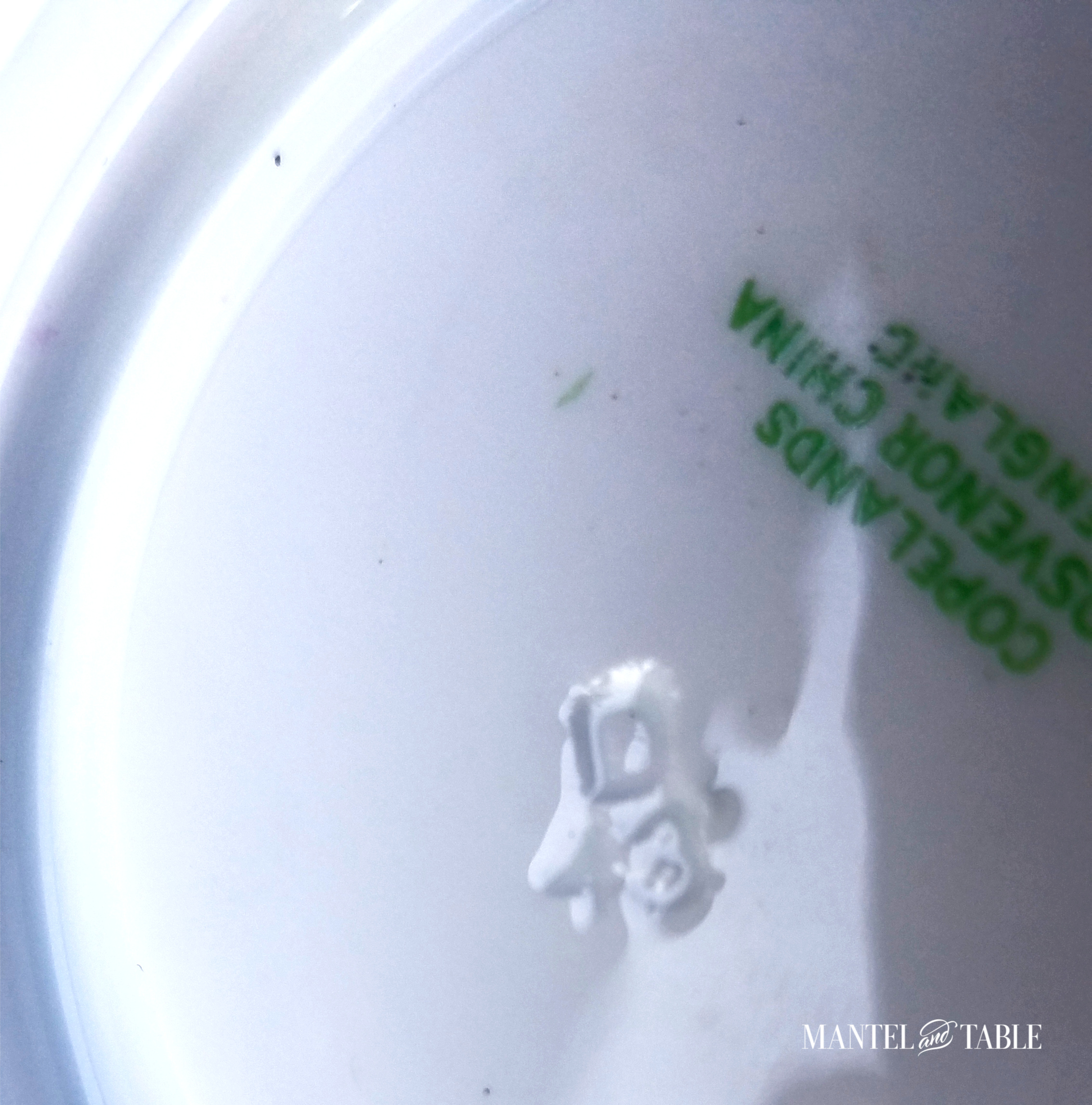 Underside of saucer showing imprinted date ,and backstamp
