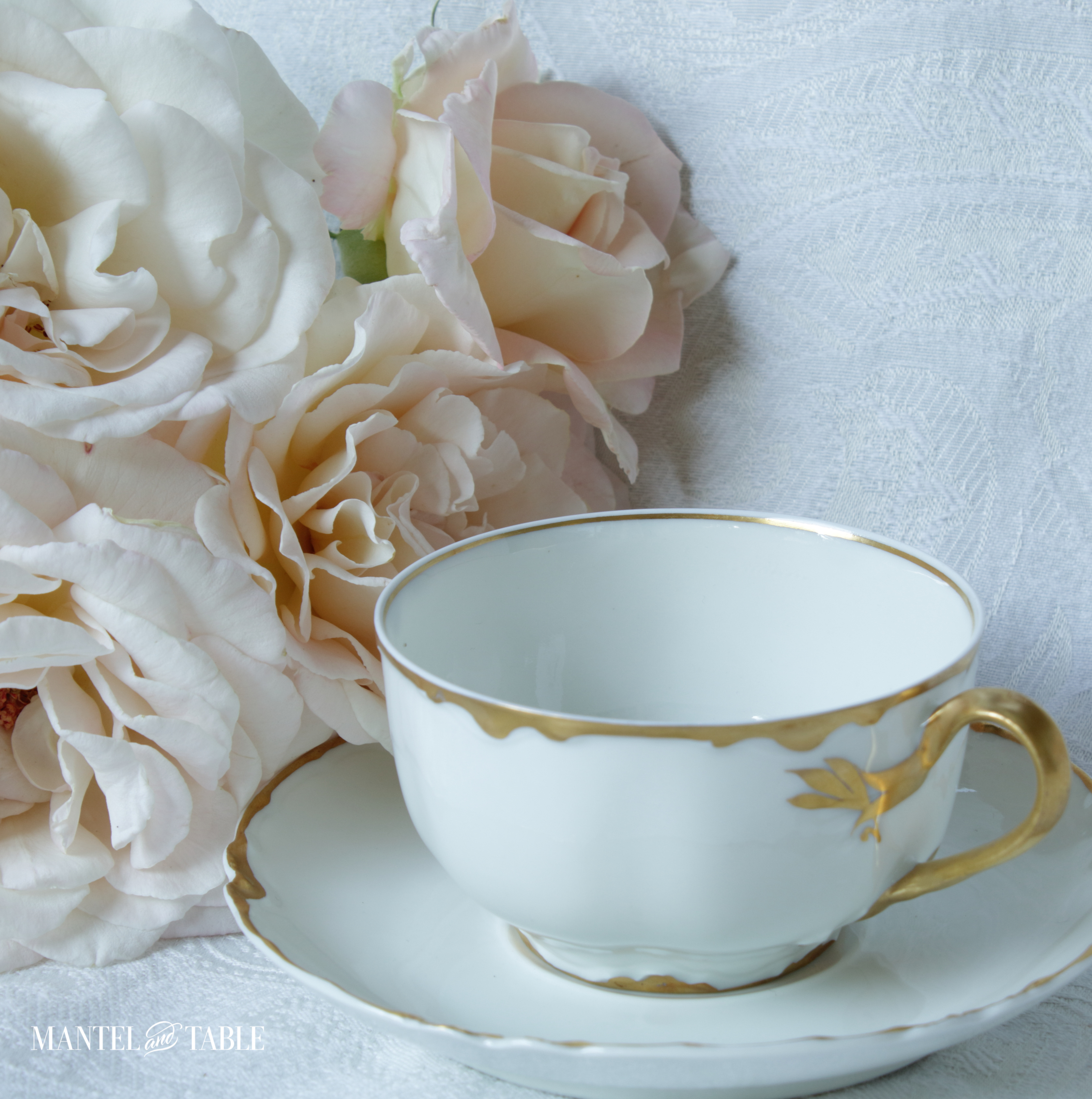Haviland teacup Ronson pattern. White & gold, with soft blush roses on white jacquard tablecloth