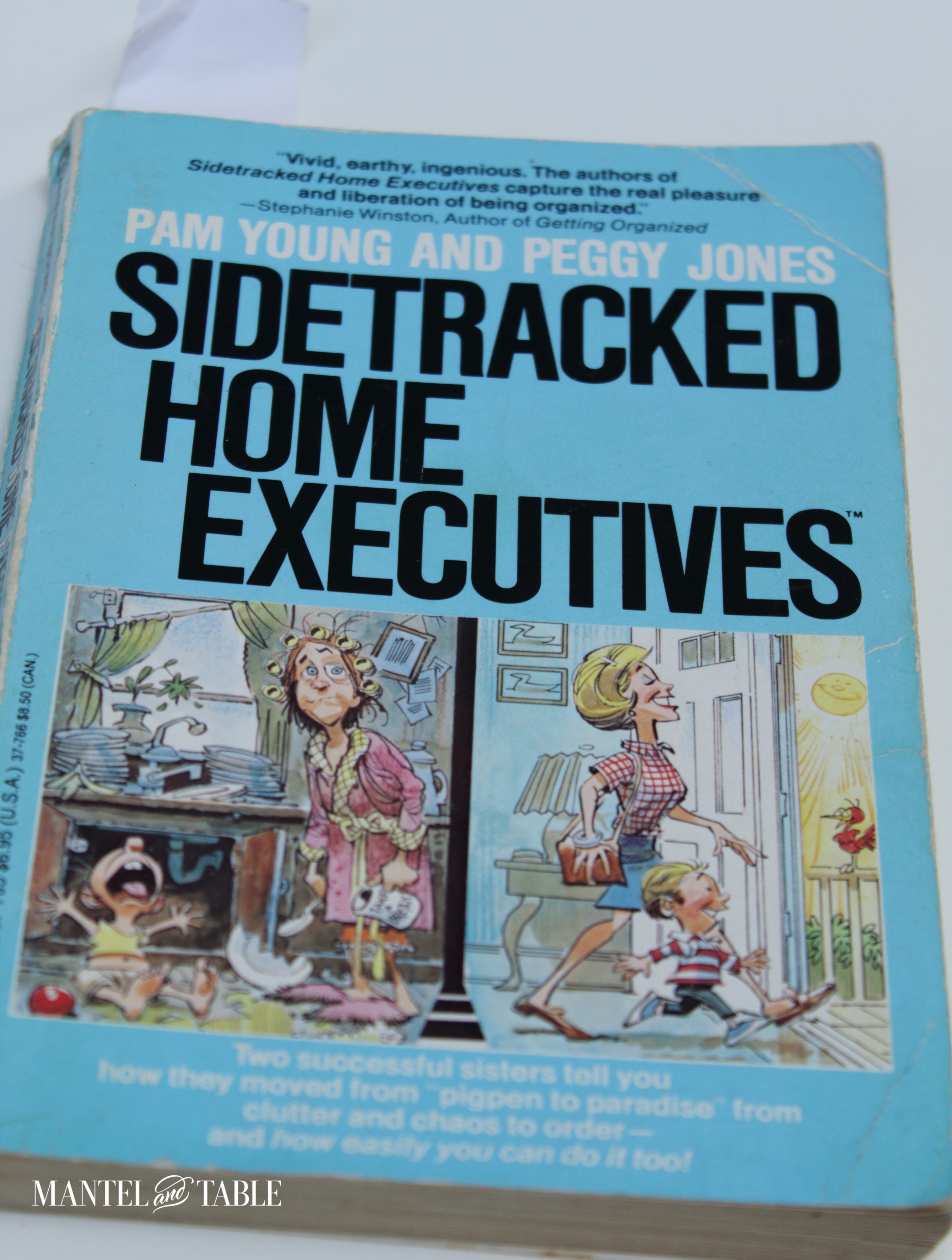 Front cover of Sidetracked Home Executives book