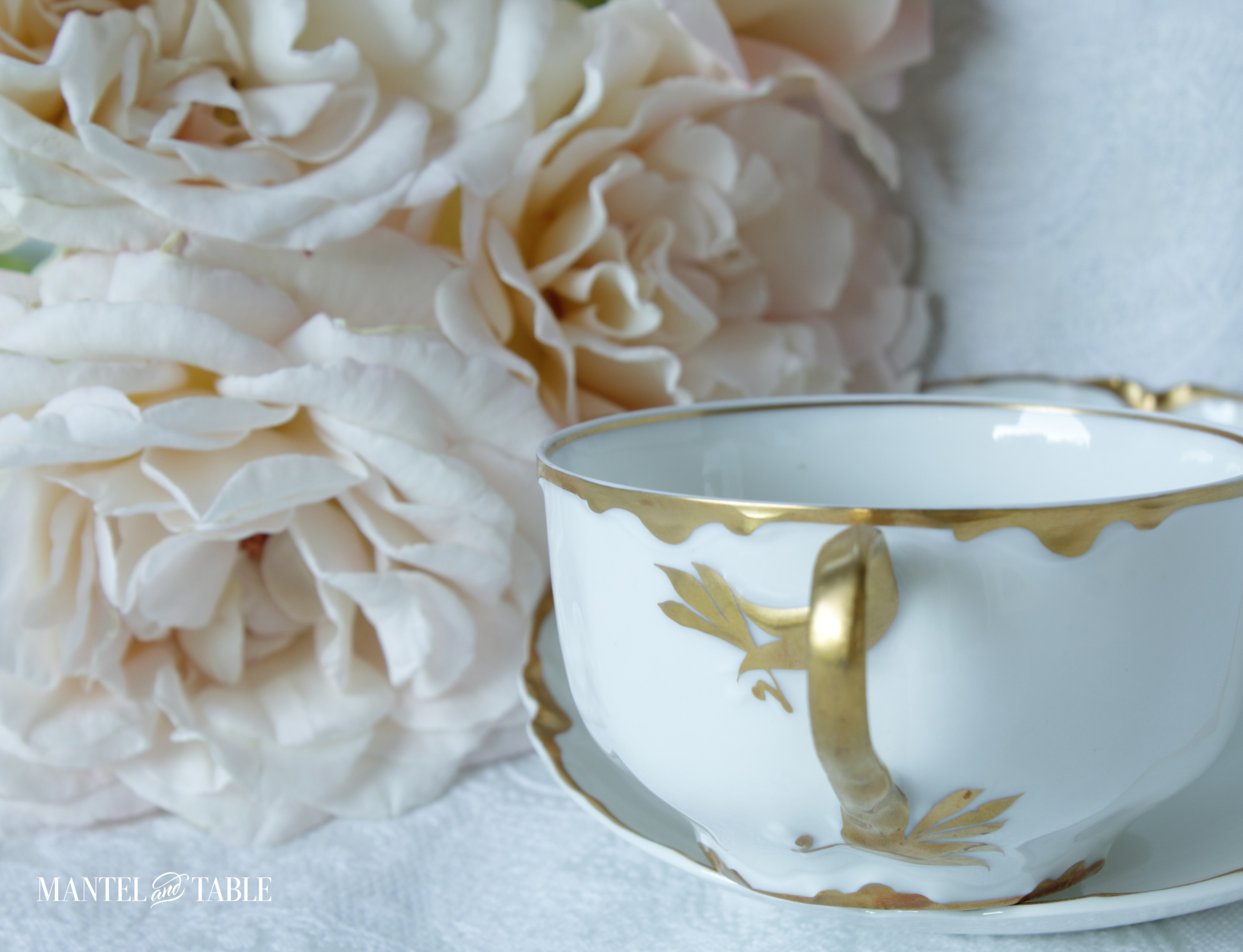 Teacup with handle facing out, blush roses