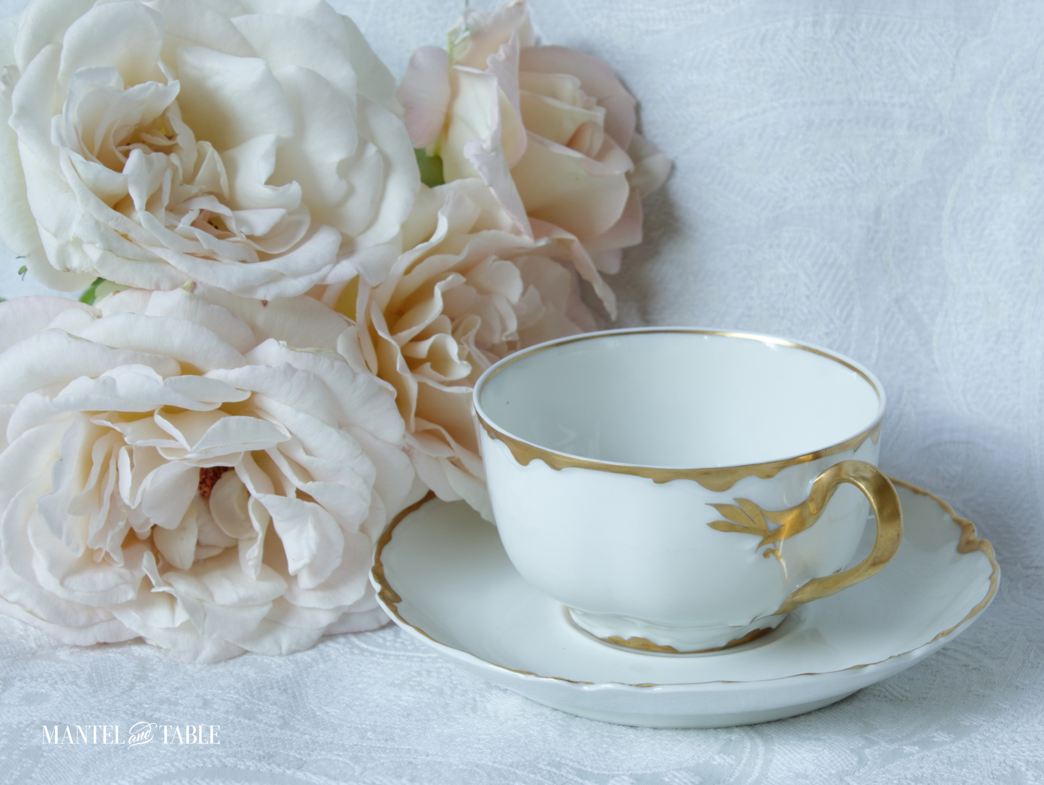 White & gold teacup on saucer with roses
