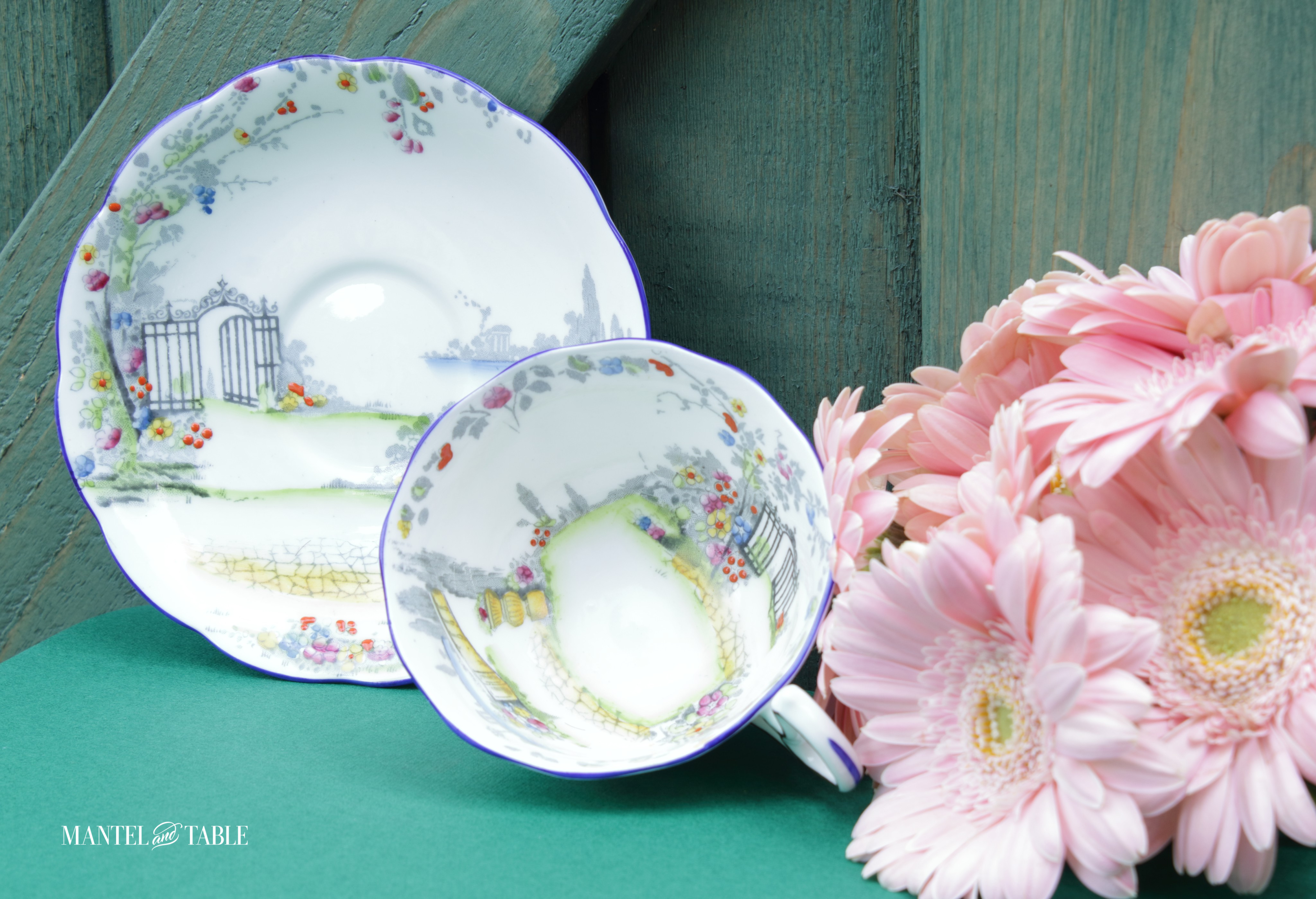 Rosedale cup and saucer with pink flowers