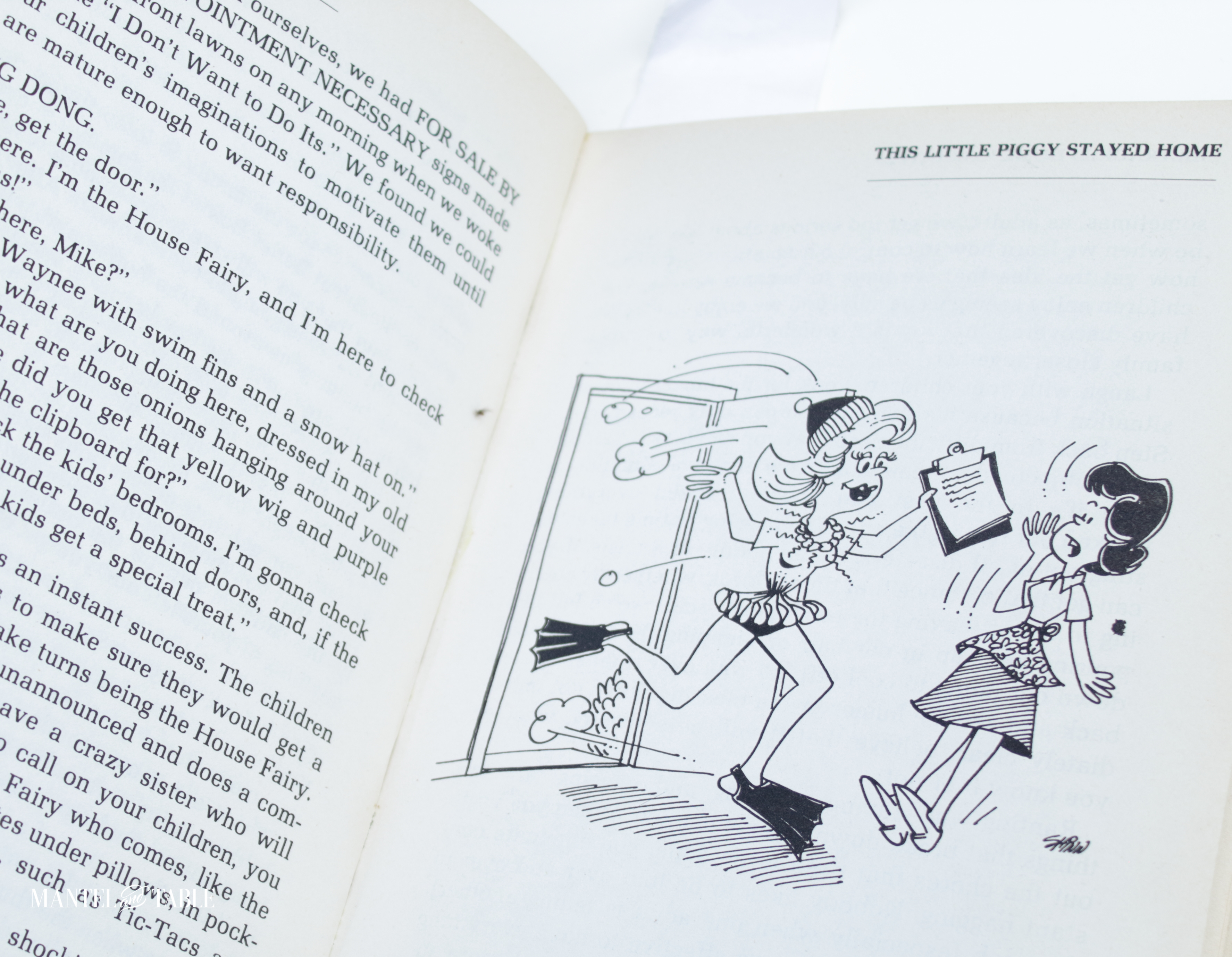 Book open to page showing the House Fairy jumping through the door