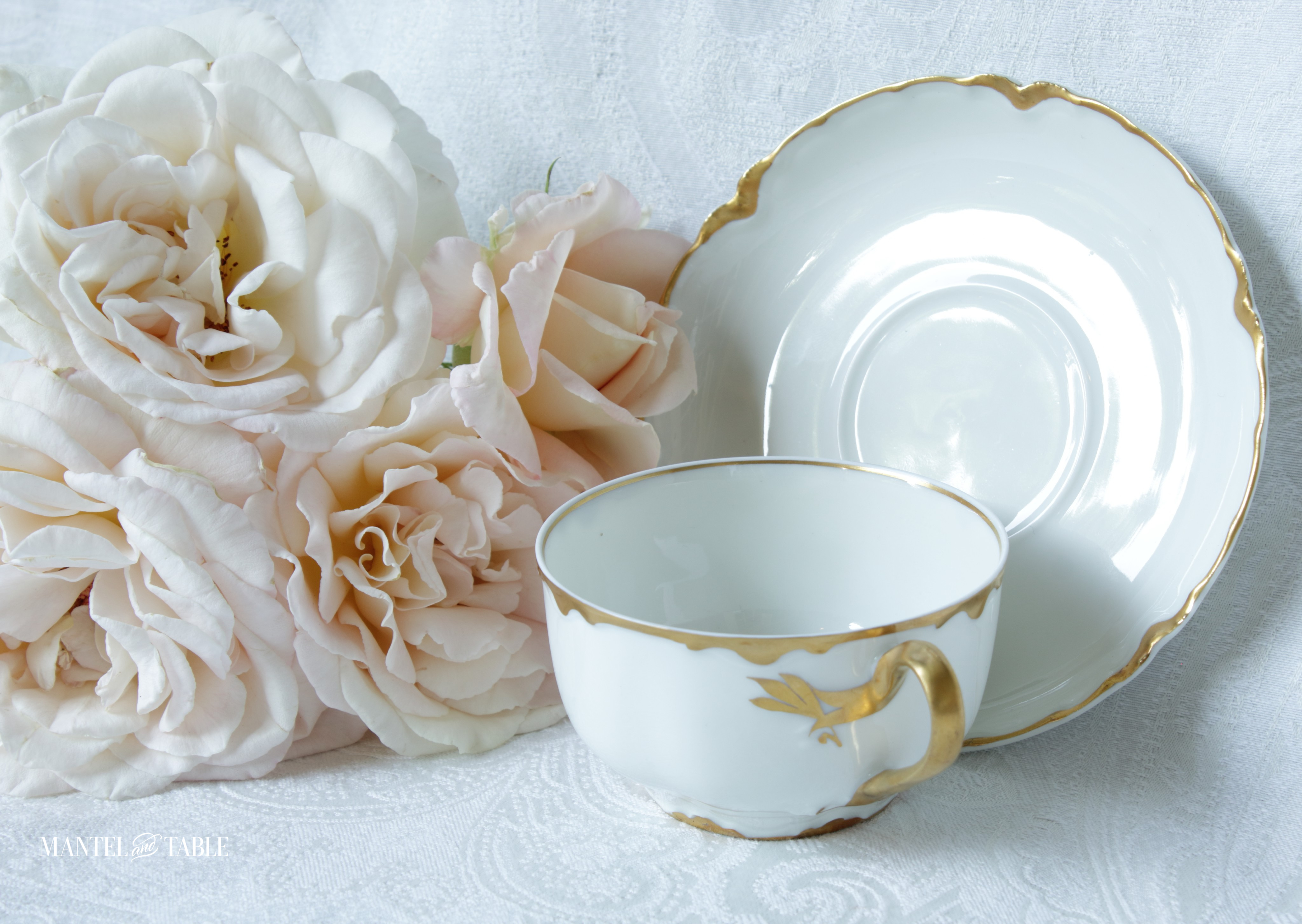 Saucer leaning again back wall, teacup in front, roses to the left.