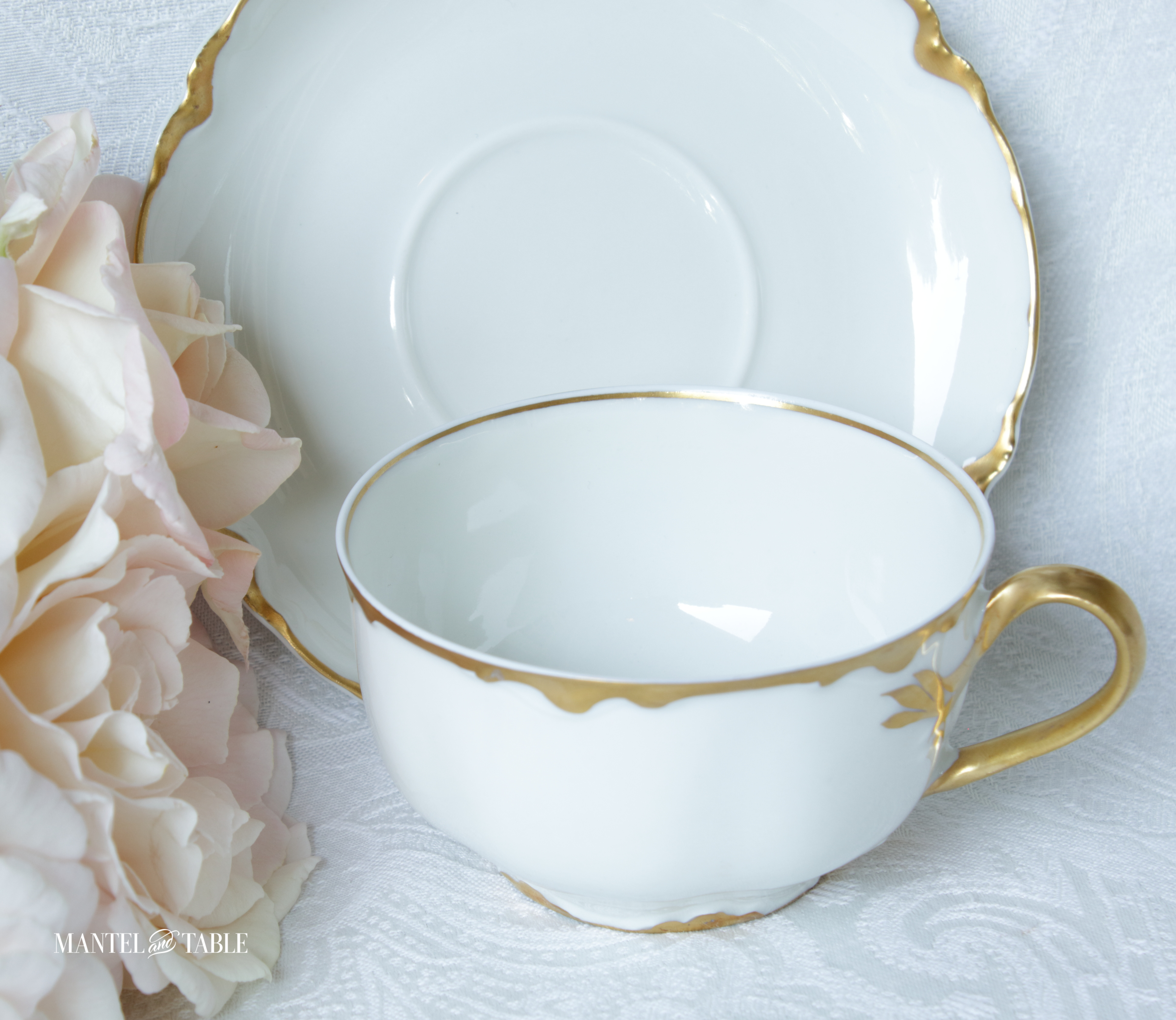Closeup of teacup, saucer and blush roses