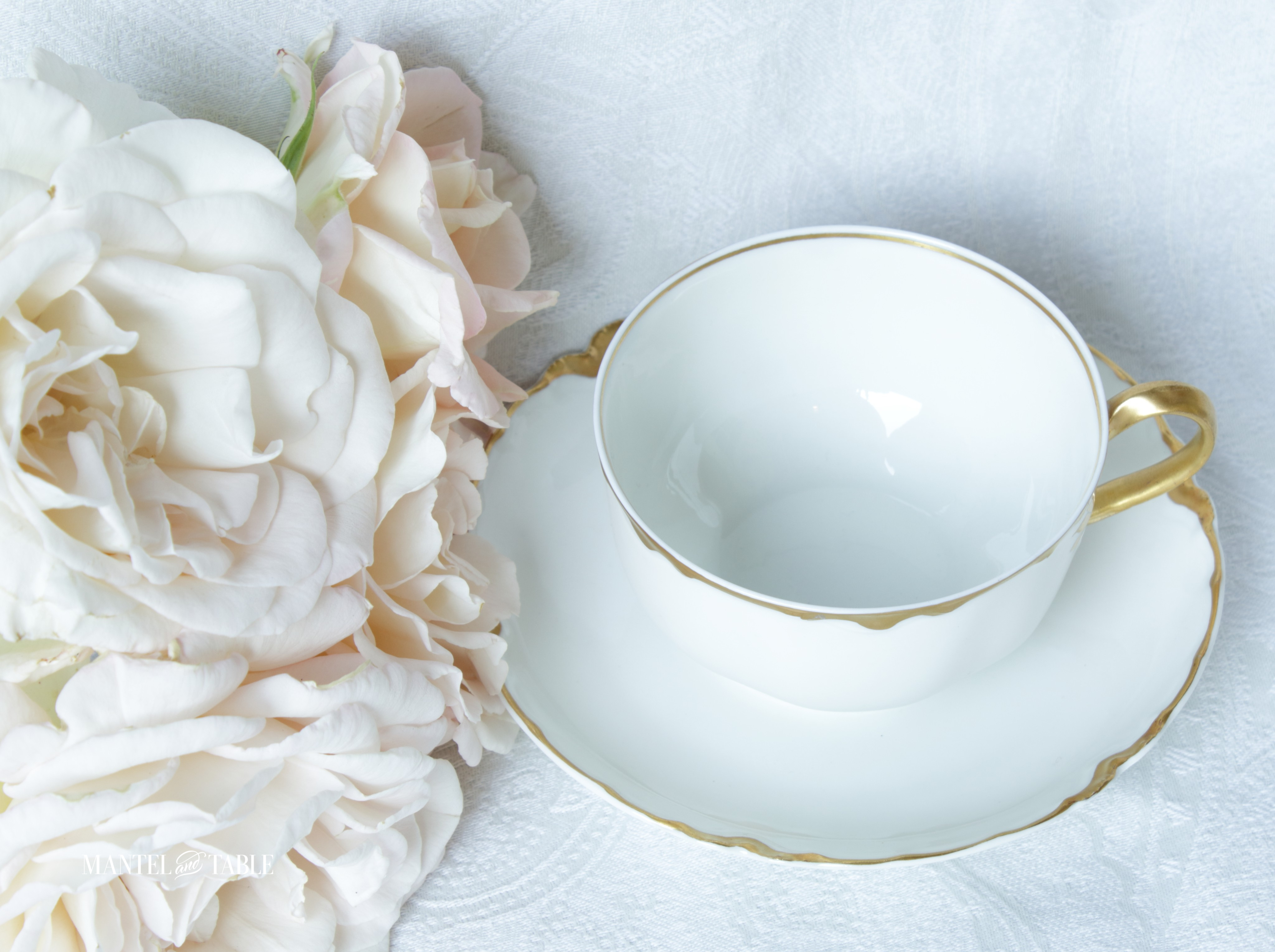 Top view of teacup and blush roses