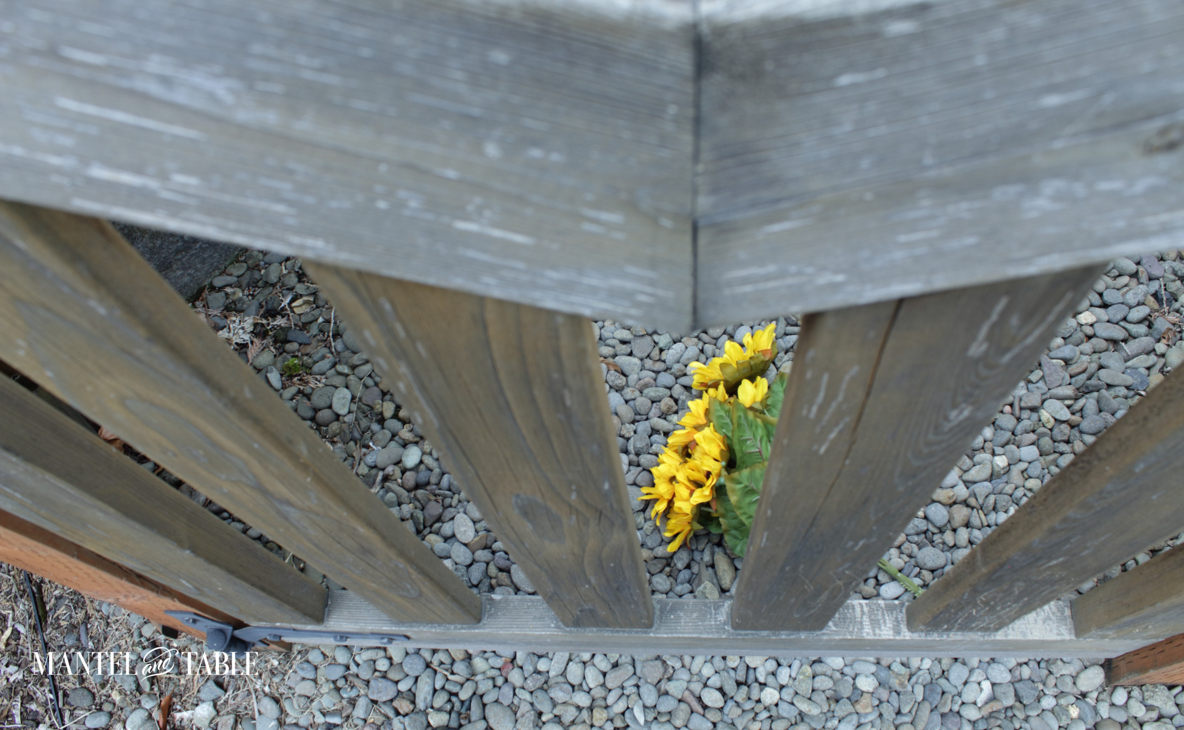 sunflowers on the ground