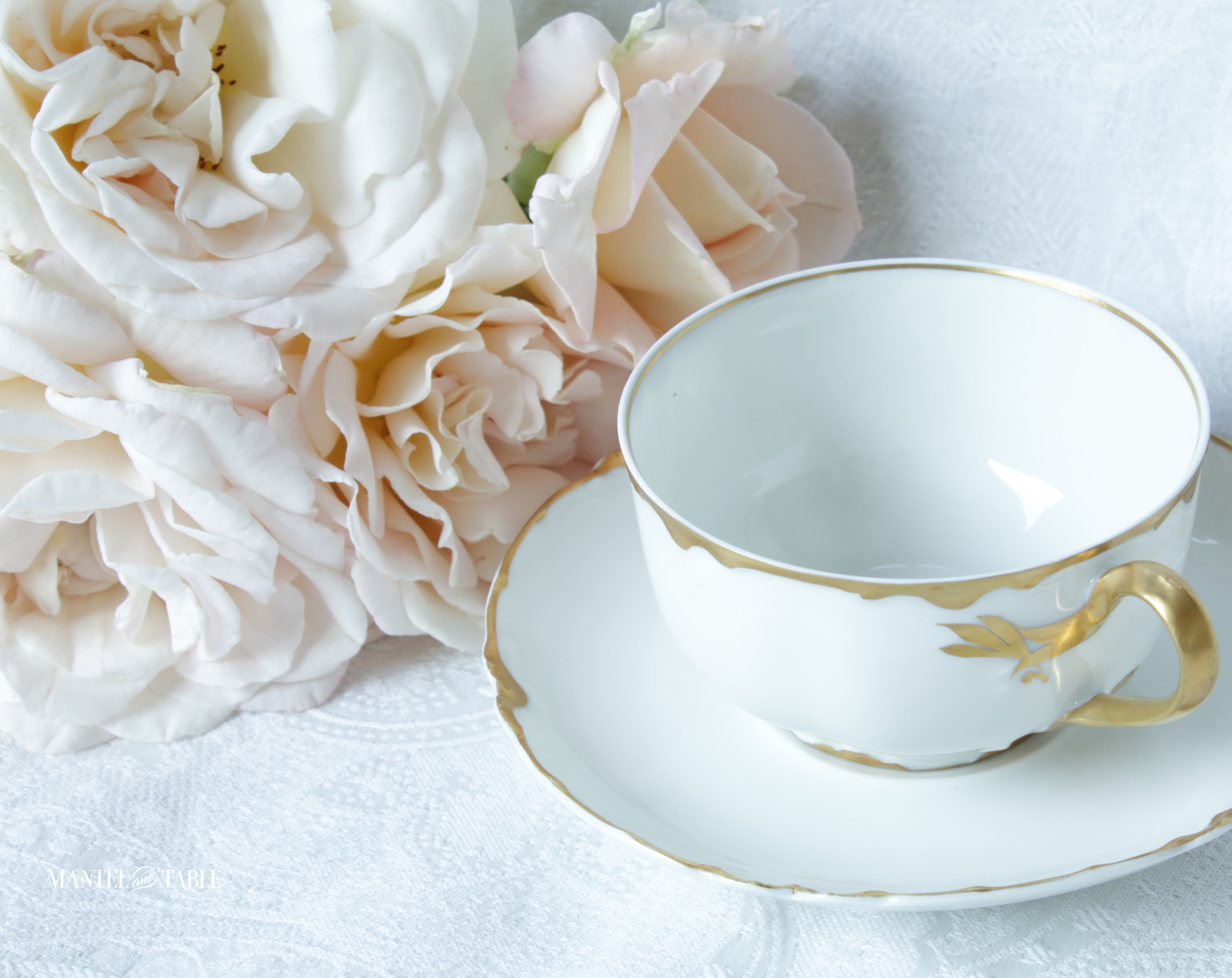 White & Gold Teacup & Saucer with blush roses