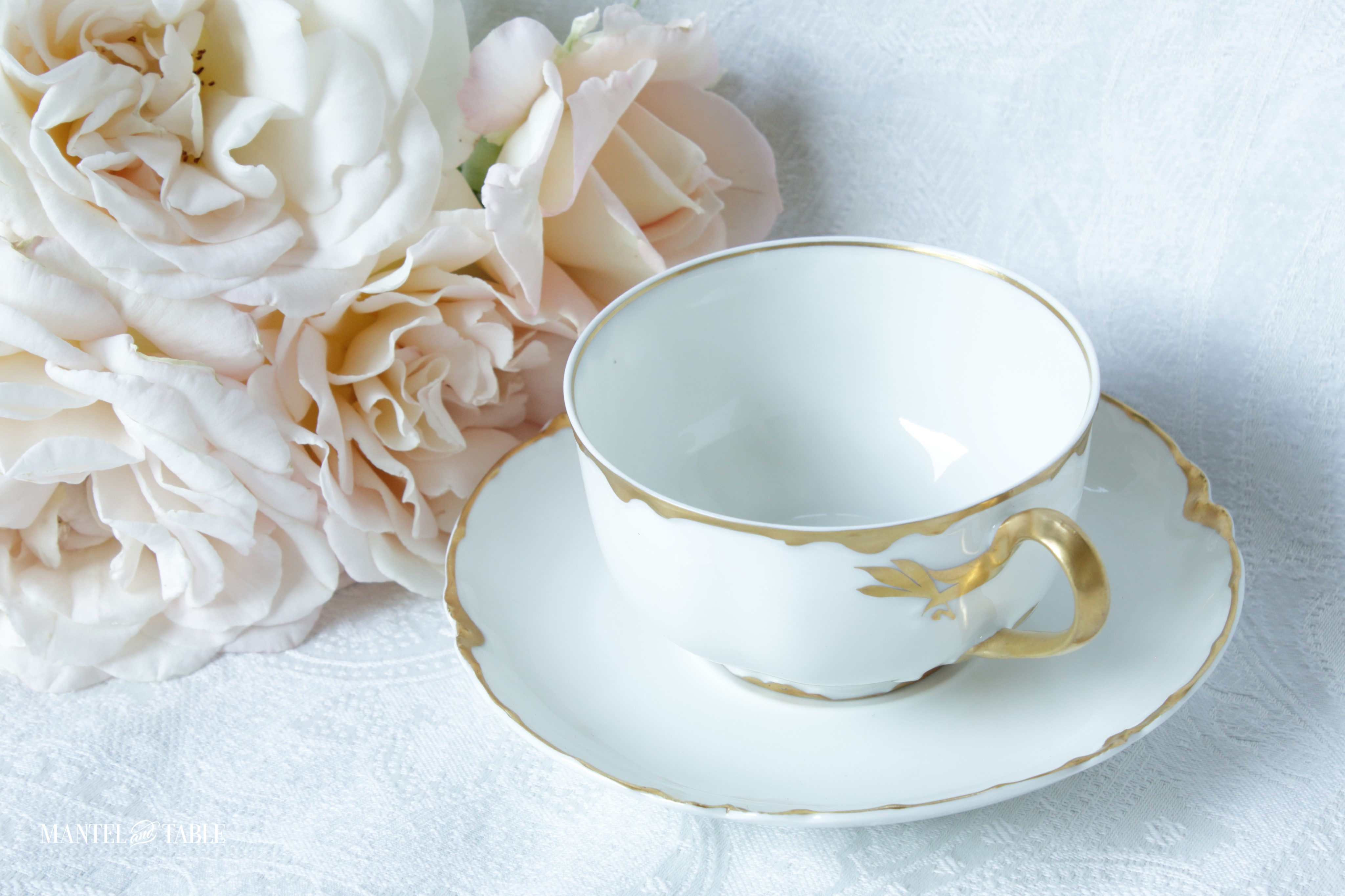 teacup on saucer next to roses