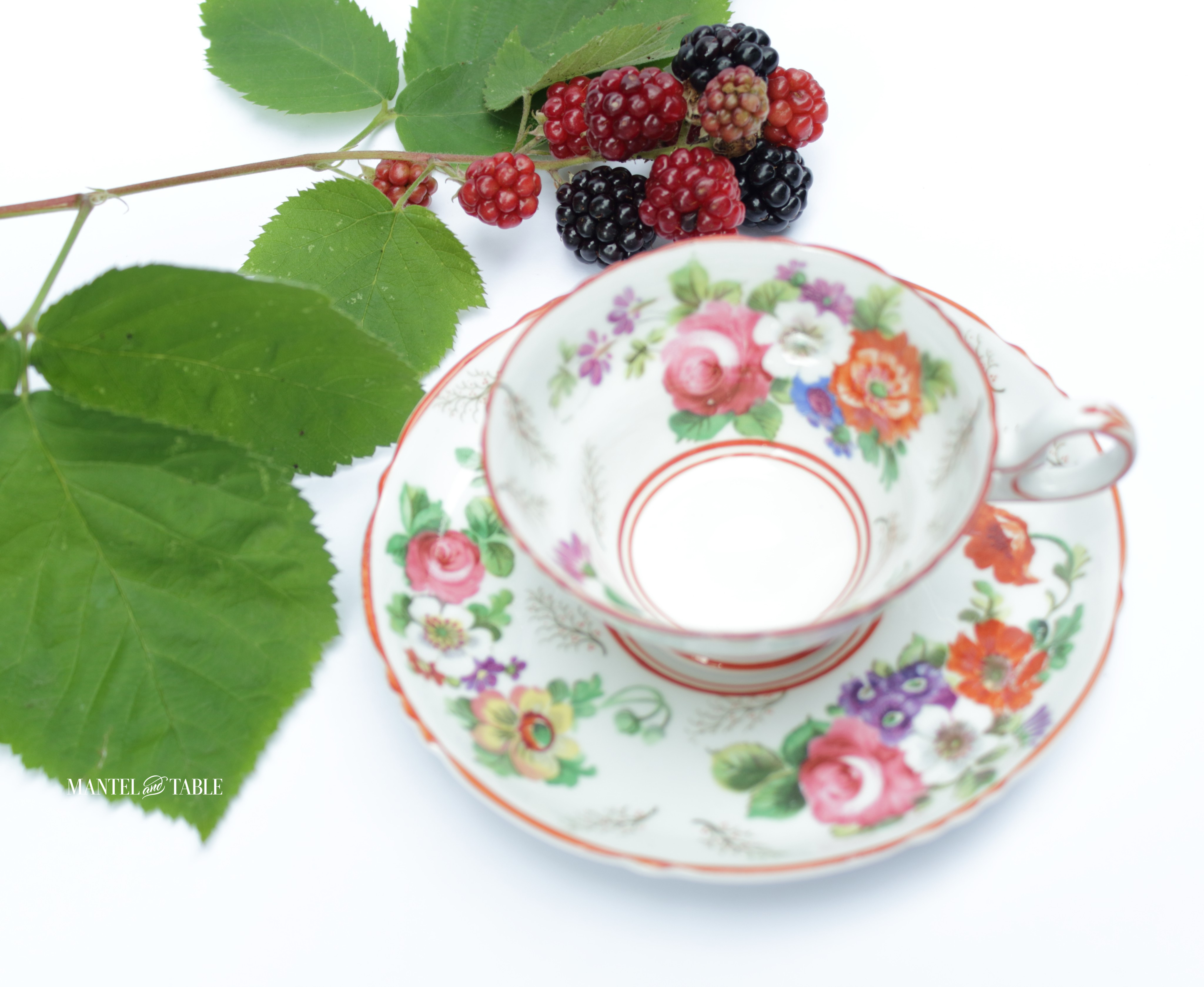 Floral Teacup with red trim against a bright white background with a fresh blackberry bramble