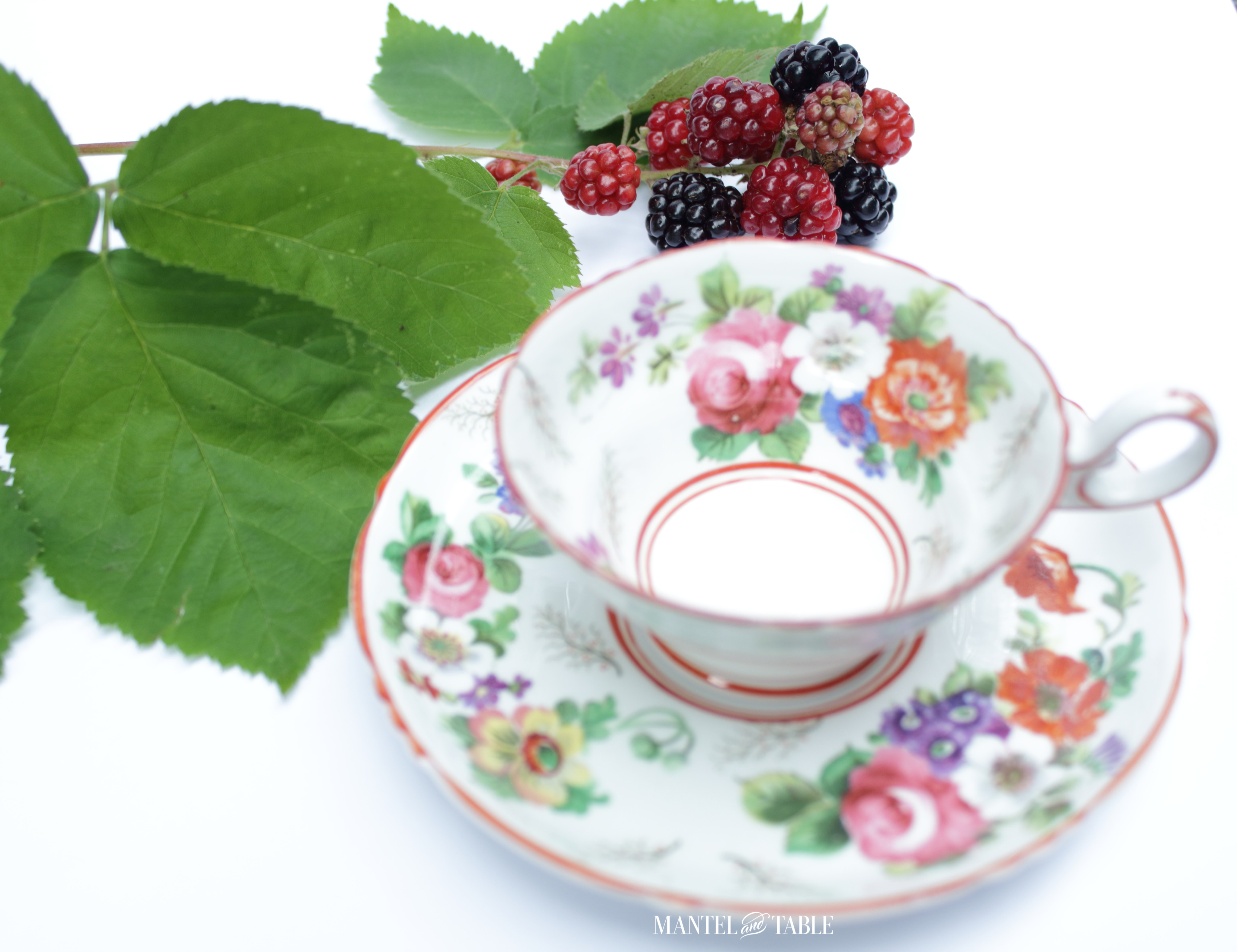 Teacup berries & white background