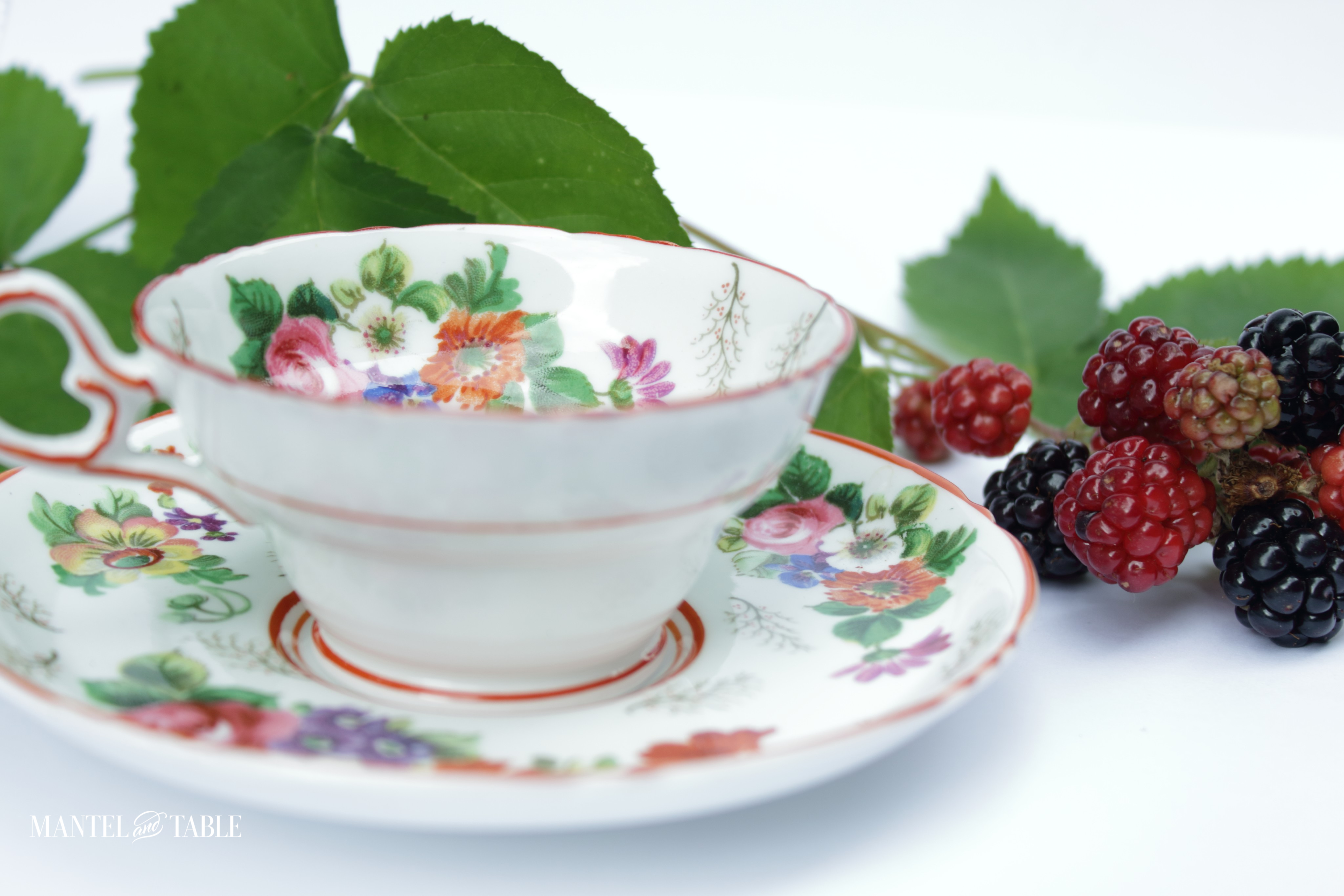 teacup and saucer side view