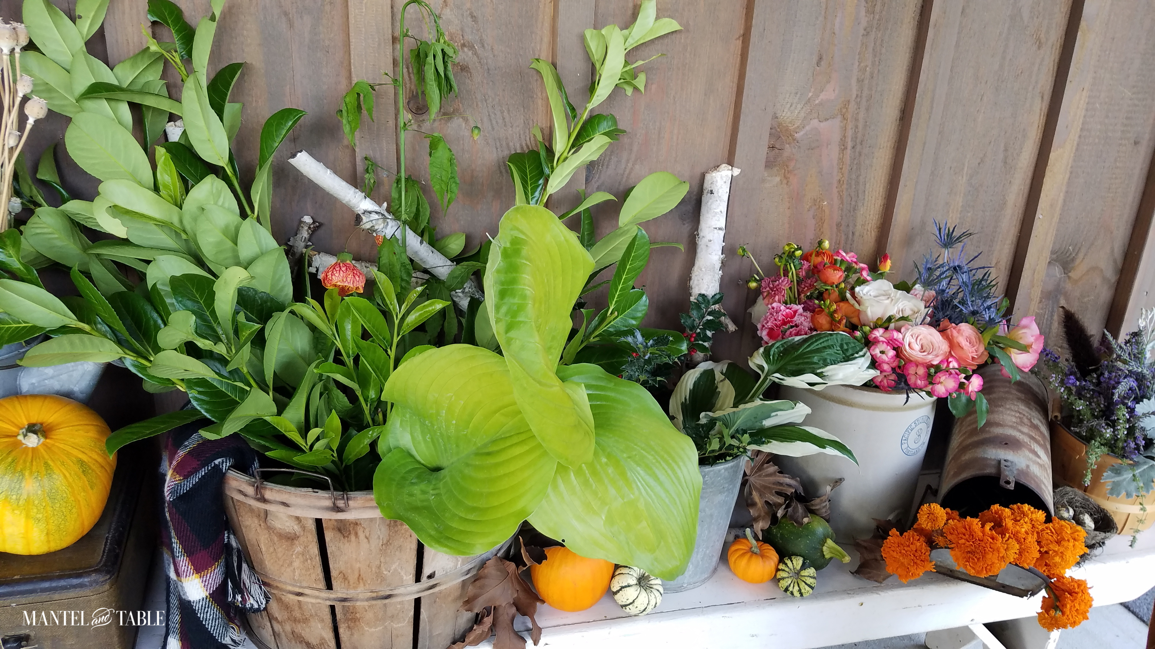 Greenery and flowers gathered for arranging