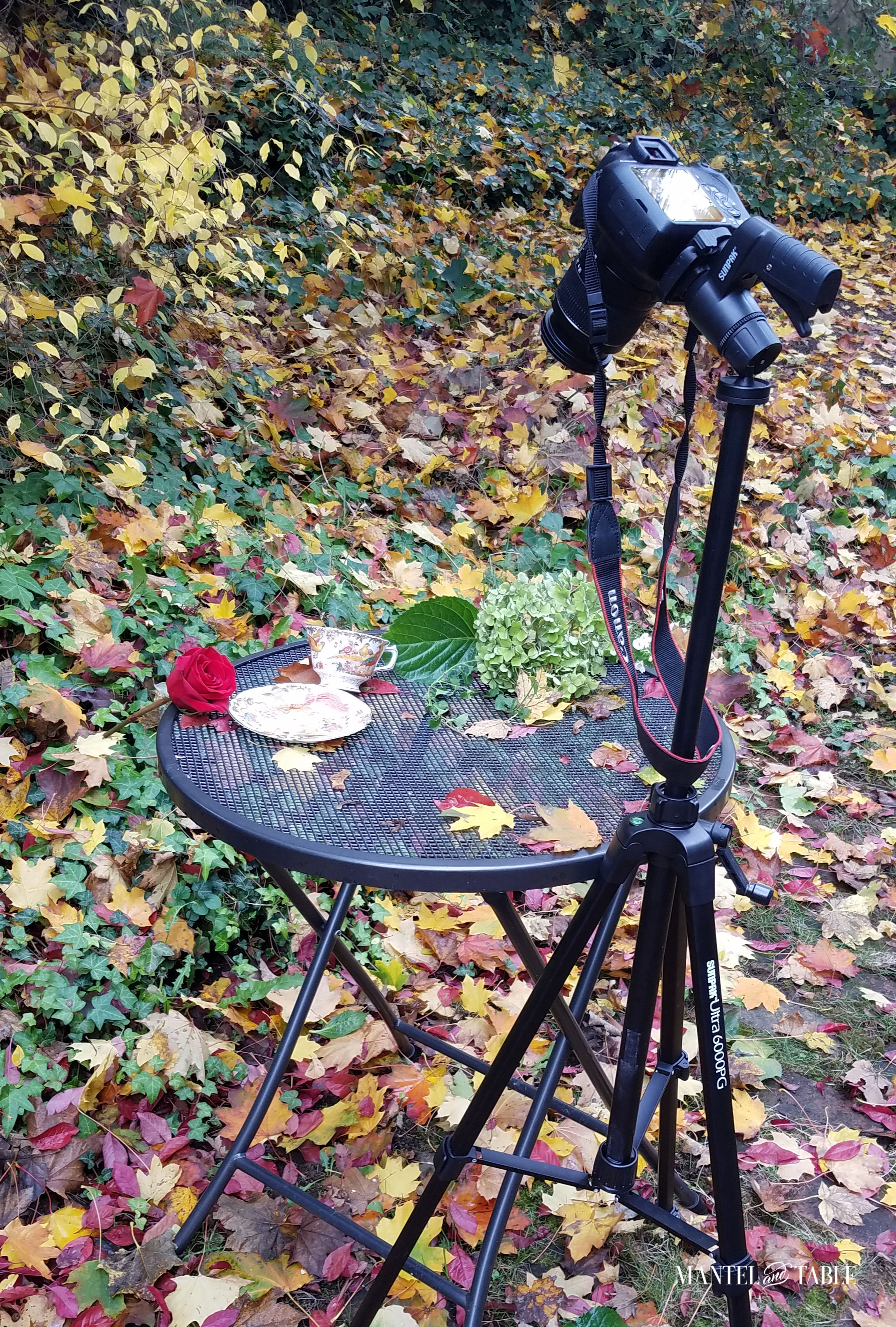 Camera on tripod pointed at top of patio table w/teacup