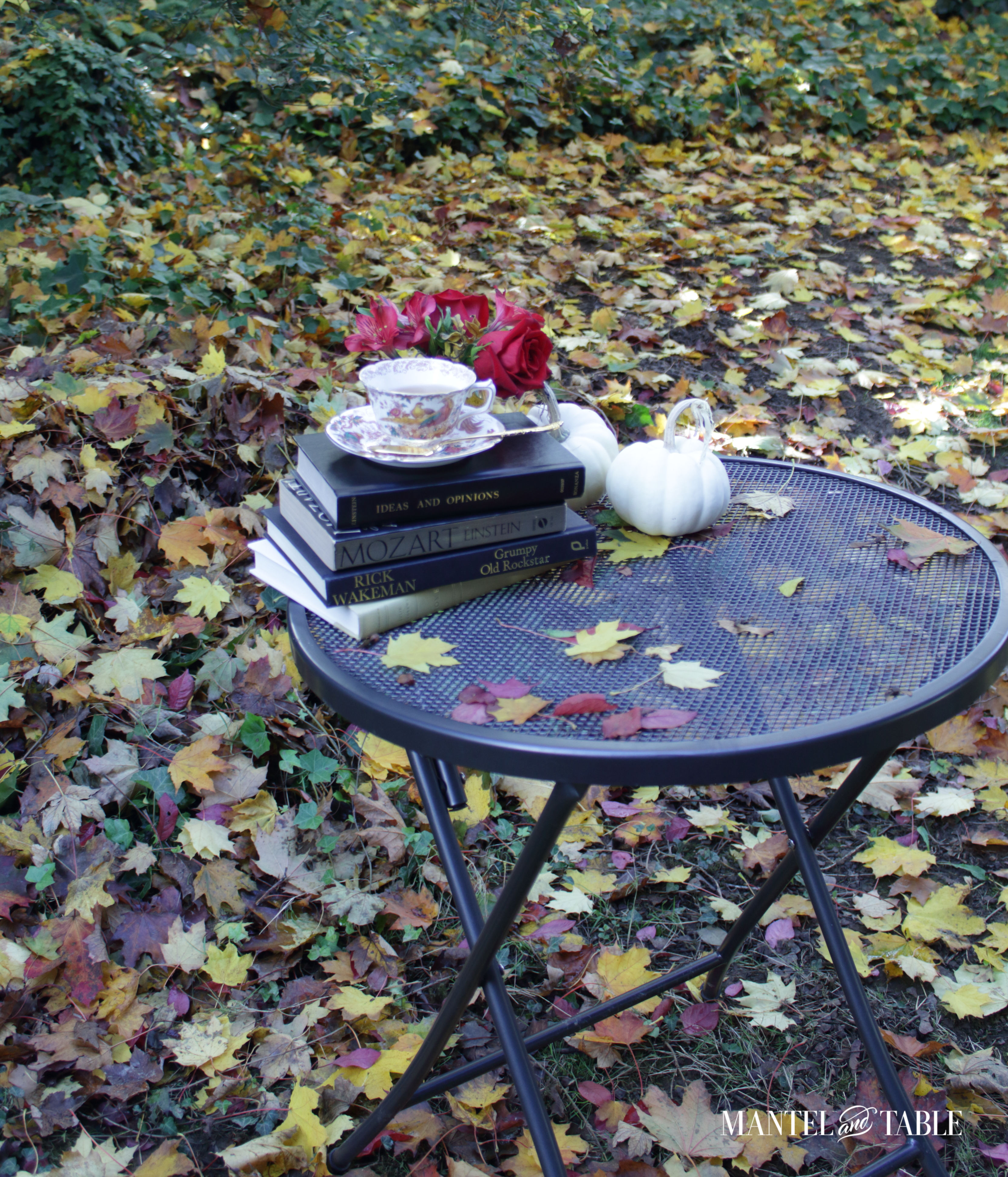 Patio table with teacup, book stack, red roses