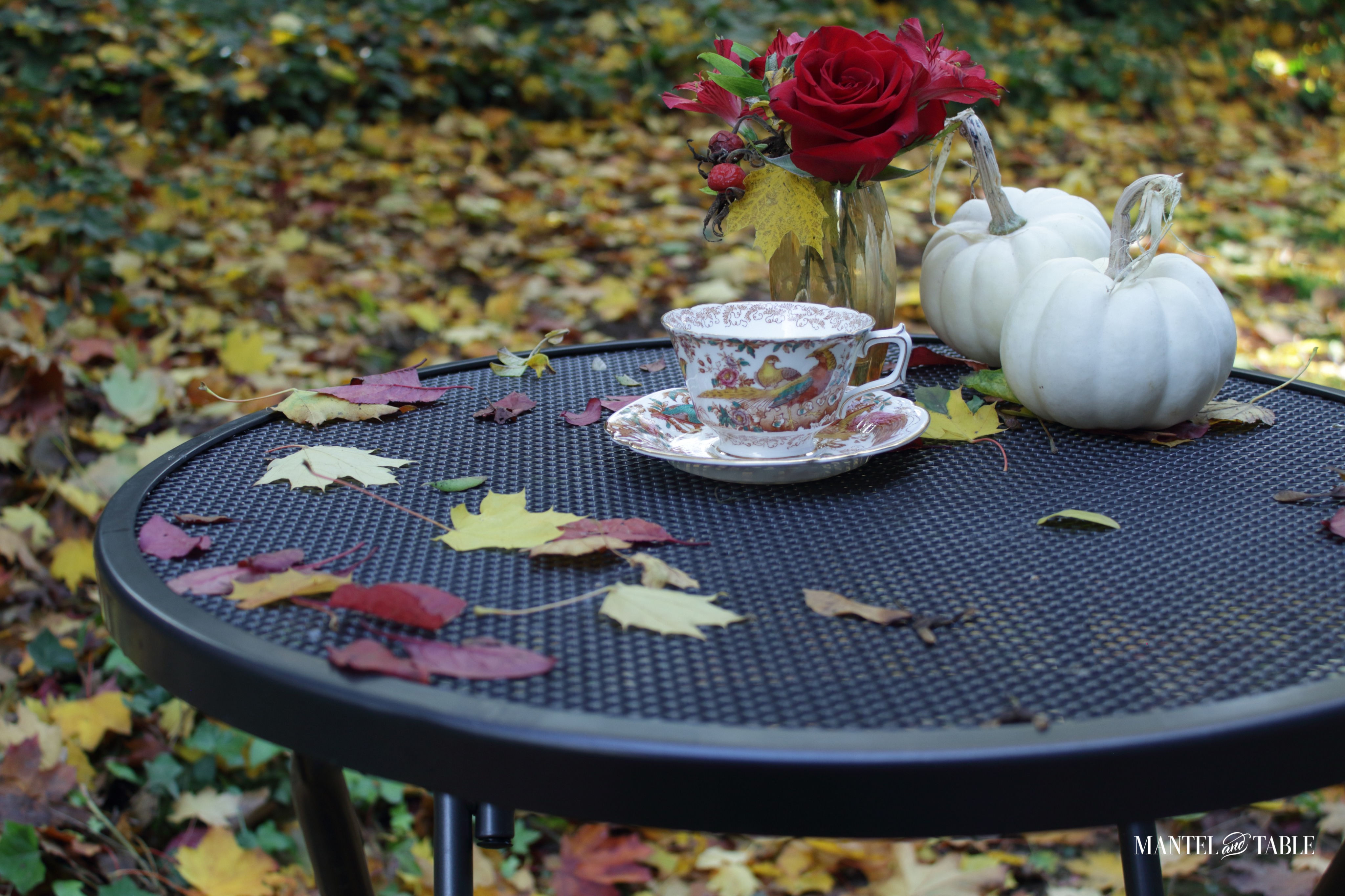 Royal Crown Derby teacup on saucer with white pumpkins & red roses, fall leaves on the ground