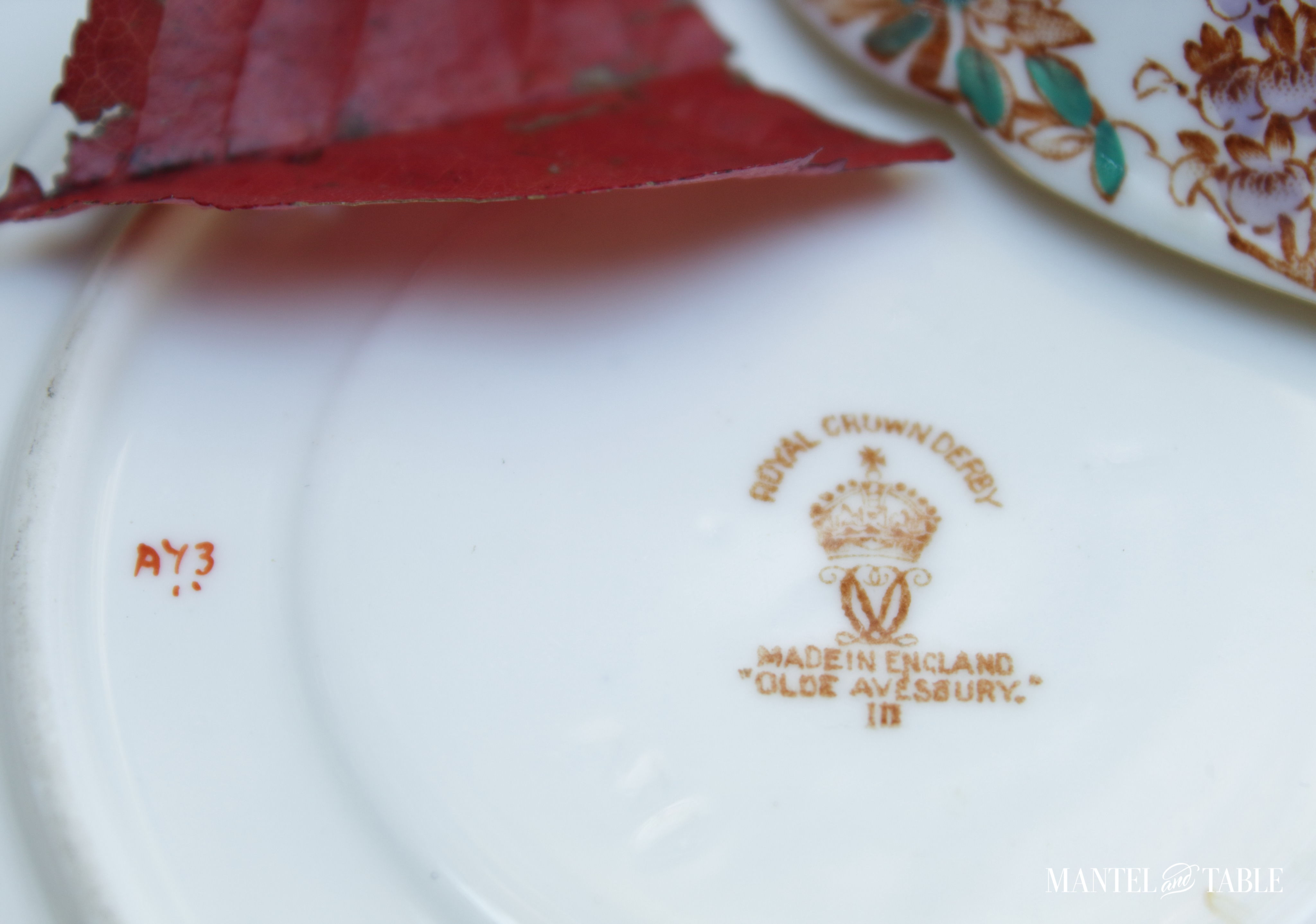 Royal Crown Derby saucer backstamp and cup edge detail