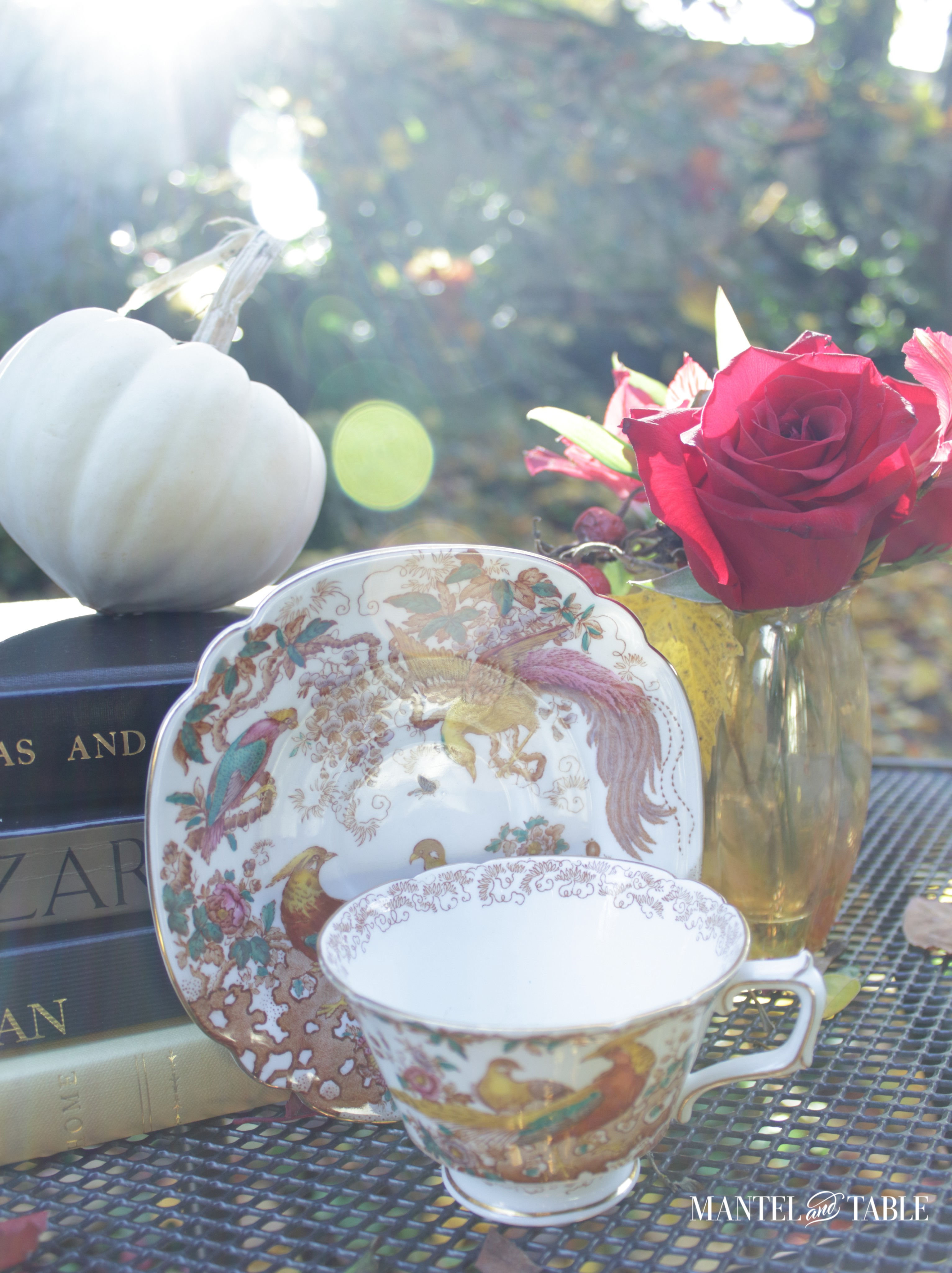 Teacup with saucer upright behind it.